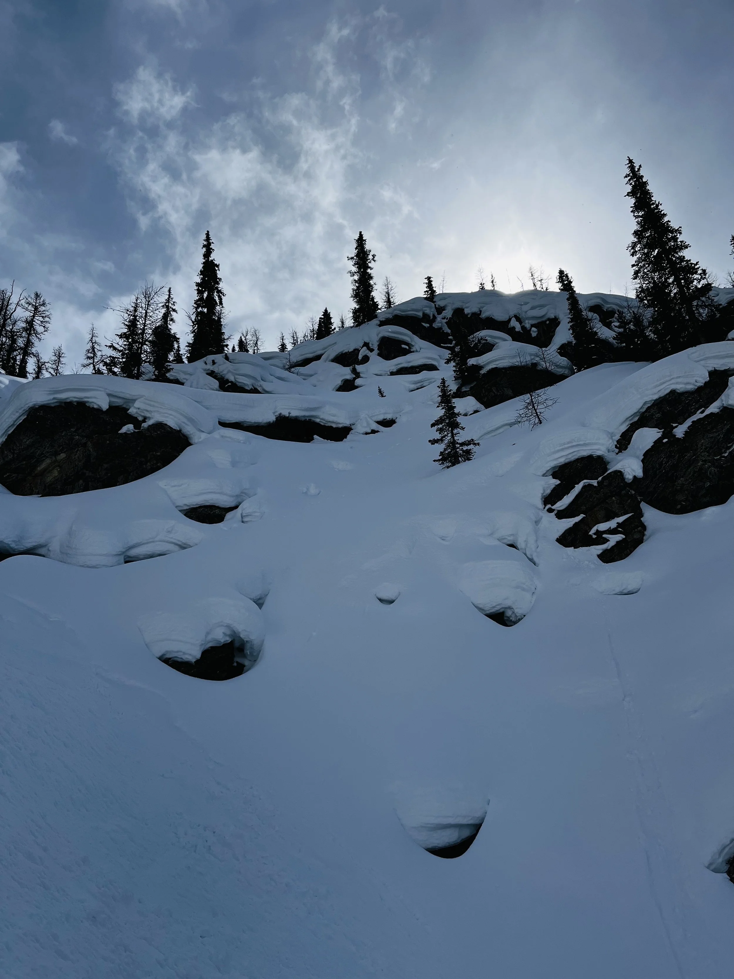 Snow-covered mountain slope with evergreen trees and rocks, with the sky and sun in the background.
