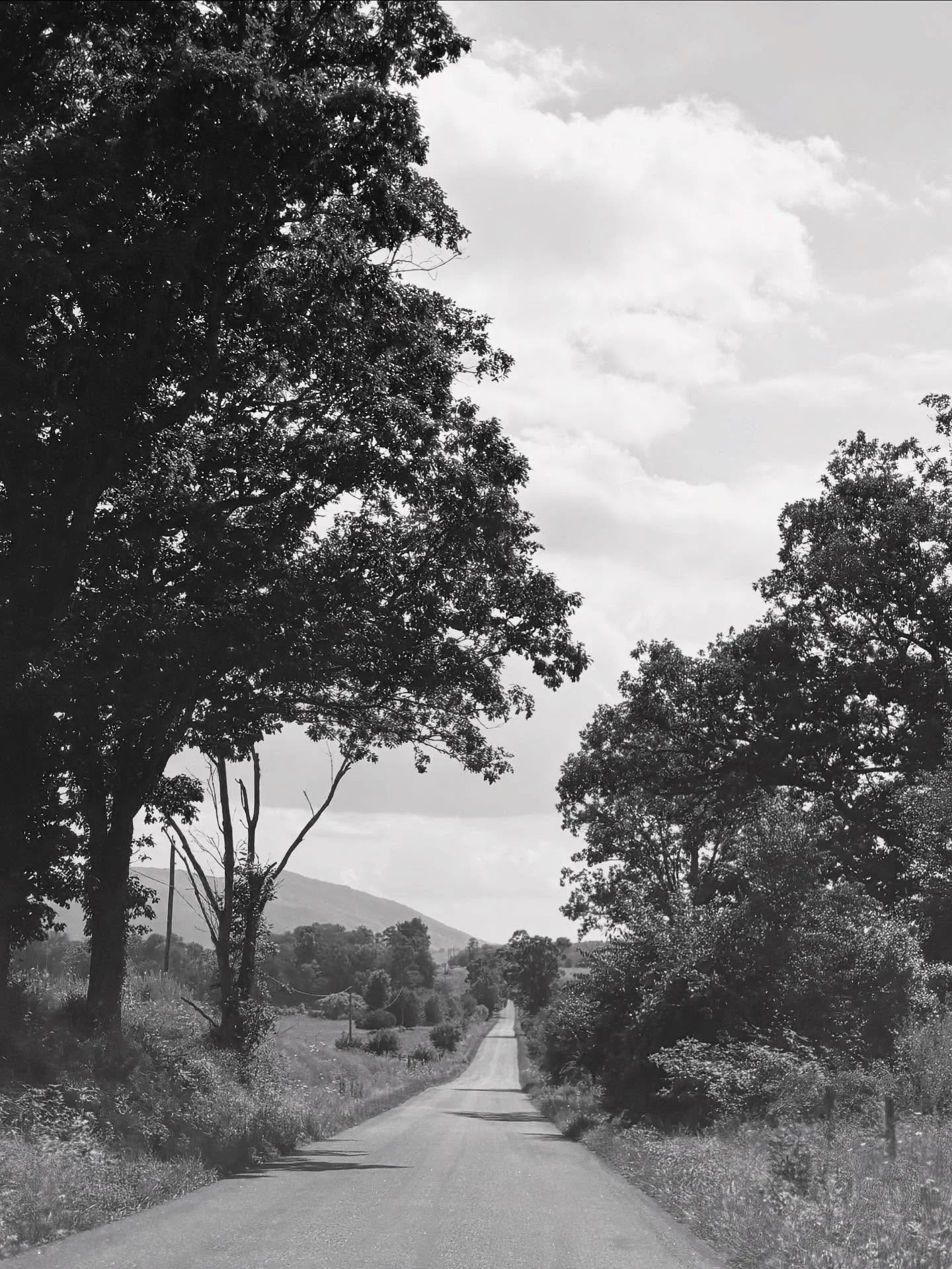 To all the open roads (amen)