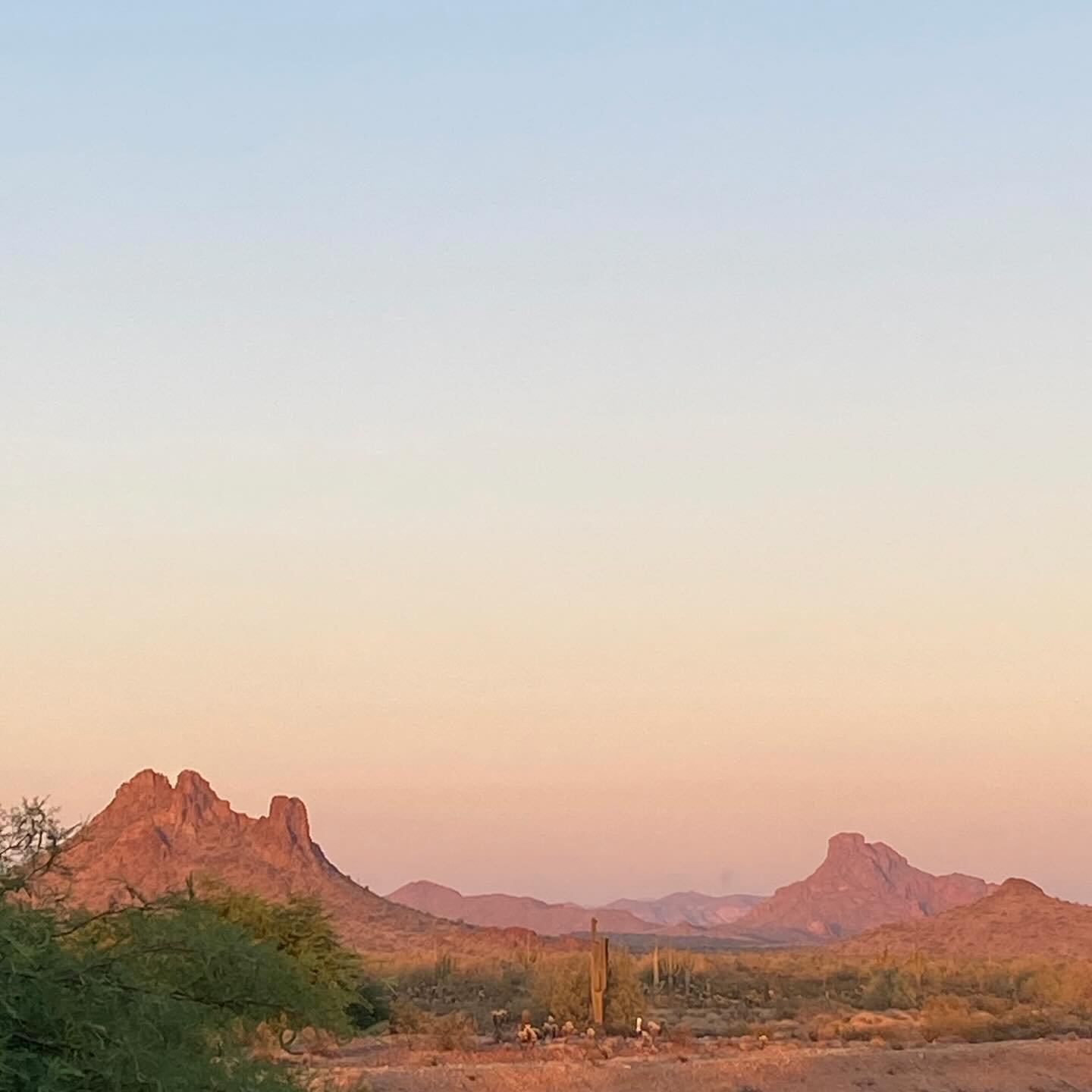 Sometimes it feels as if one city is the waking mind and the other is dreaming, and I cycle through never-ending clips and keep picking up where I left off in each one, the way your day starts in bed, where you left off the night before.