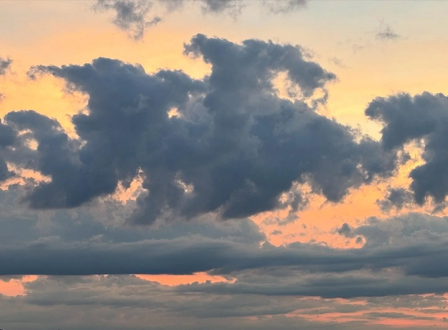 Can anything be birthed without the quiet space, the womb of creation, the undisturbed protection of solitude?