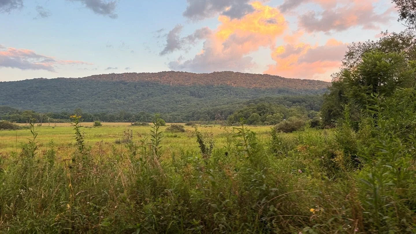 Wisdom from the I-Ching: Things will be reversed when they become extreme