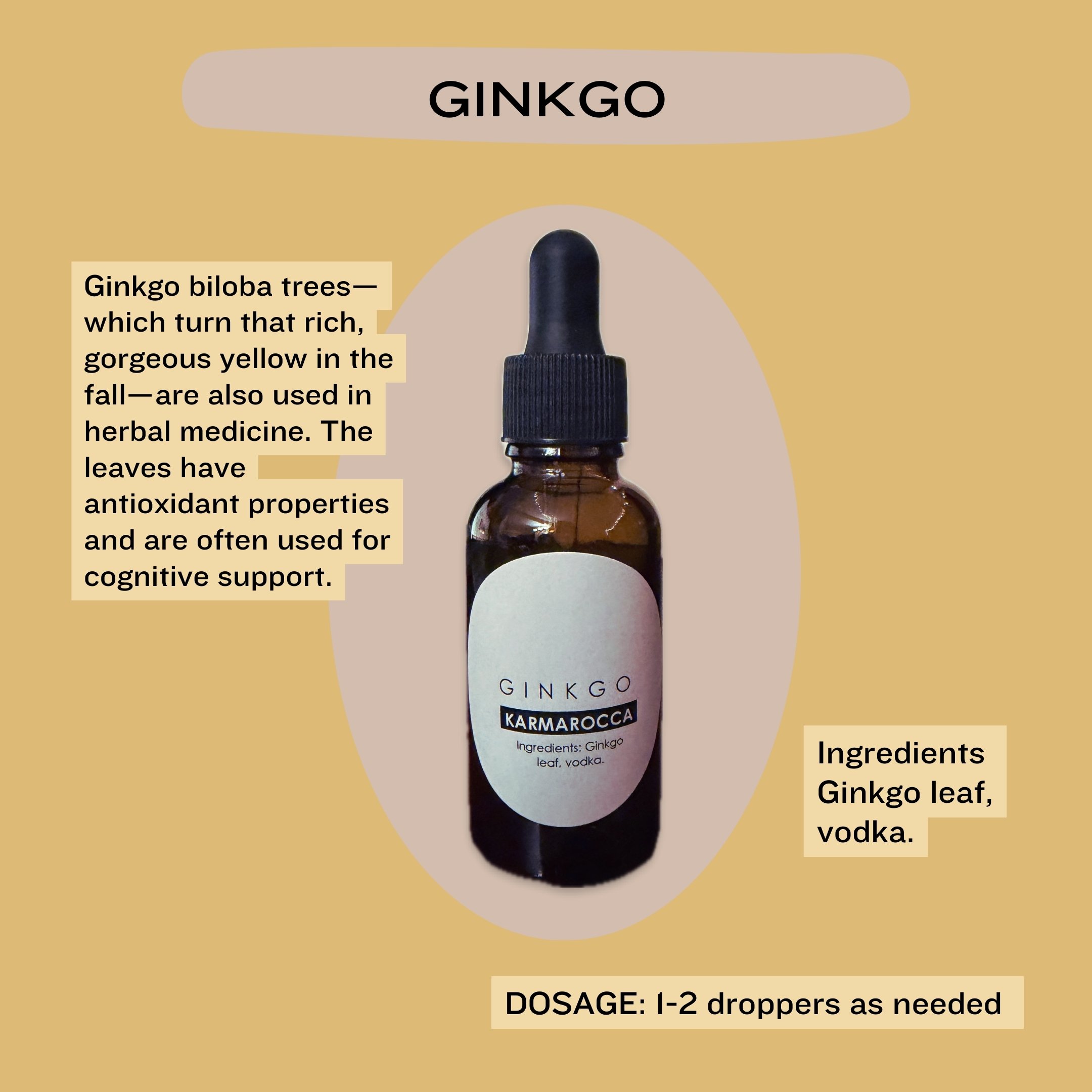 GINKGO TINCTURE (2).jpg