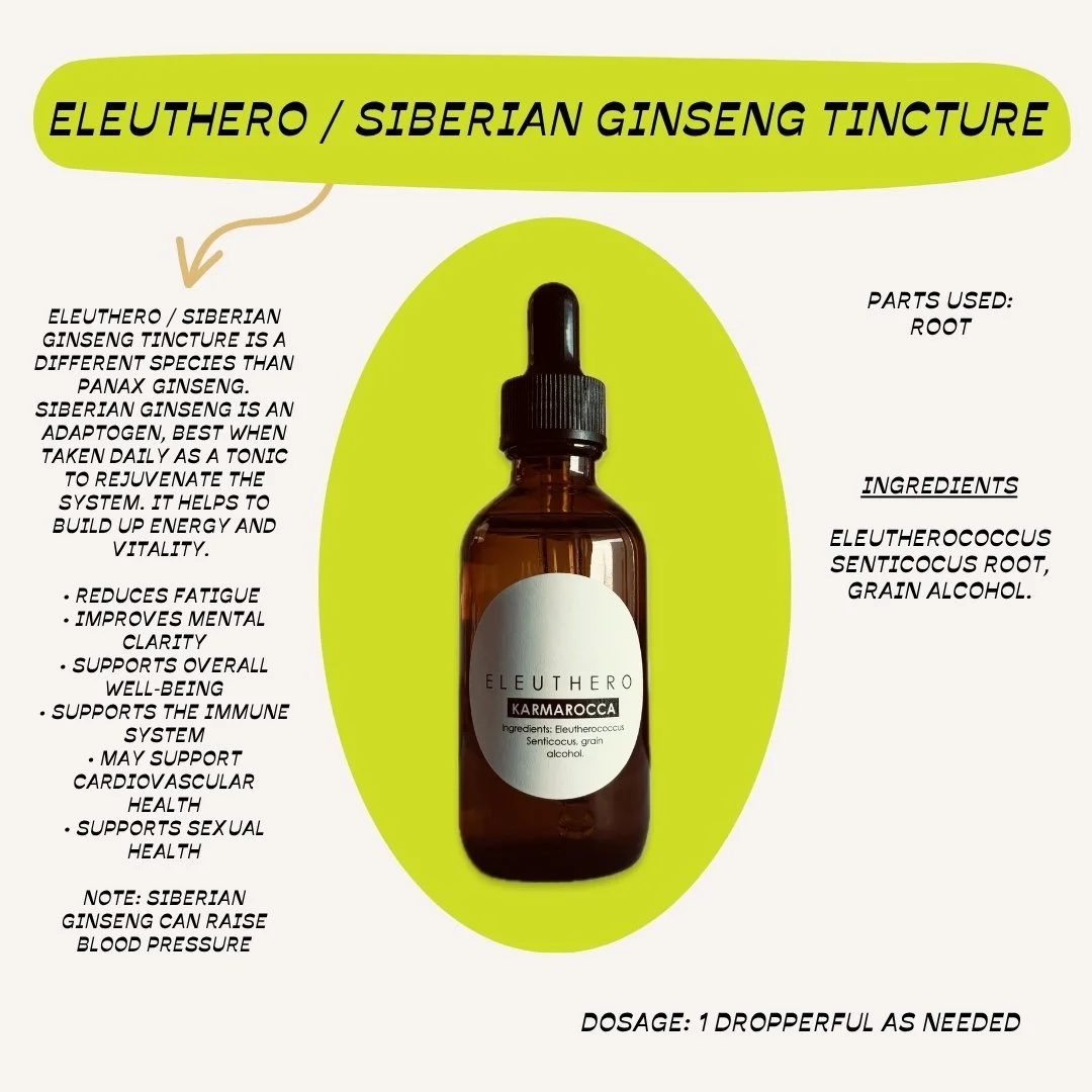 siberian ginseng.jpg