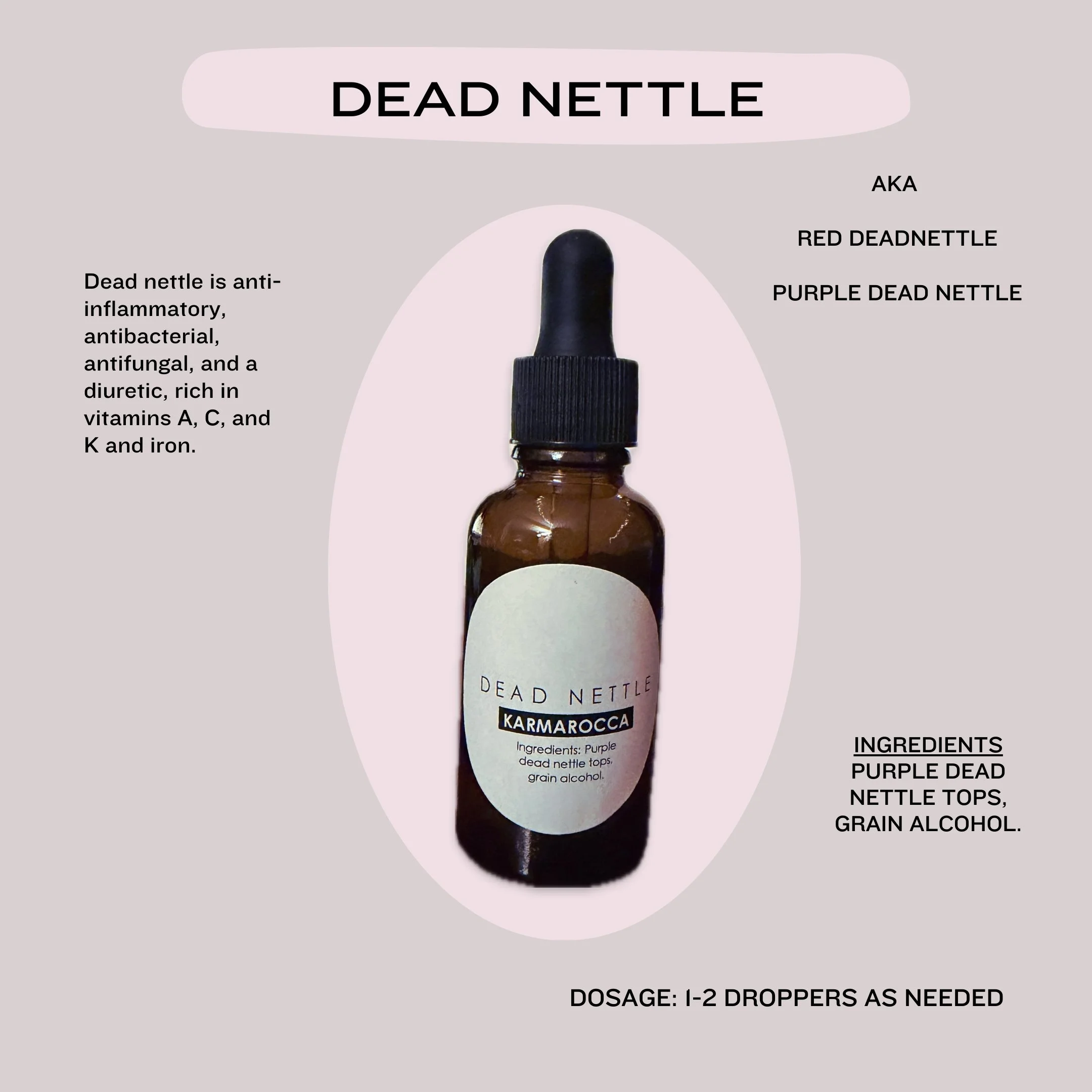 DEAD NETTLE TINCTURE (2).jpg