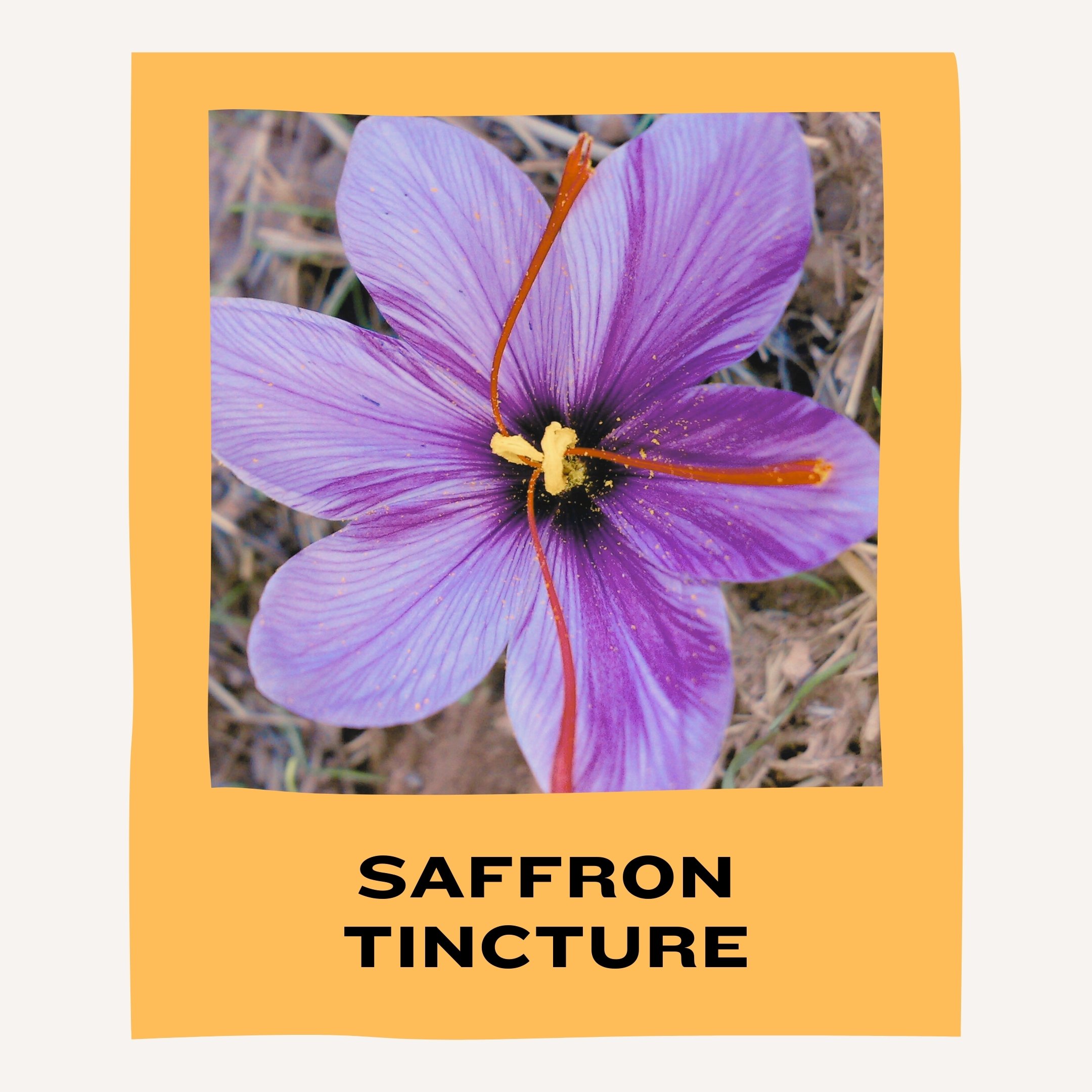 SAFFRON TINCTURE.jpg
