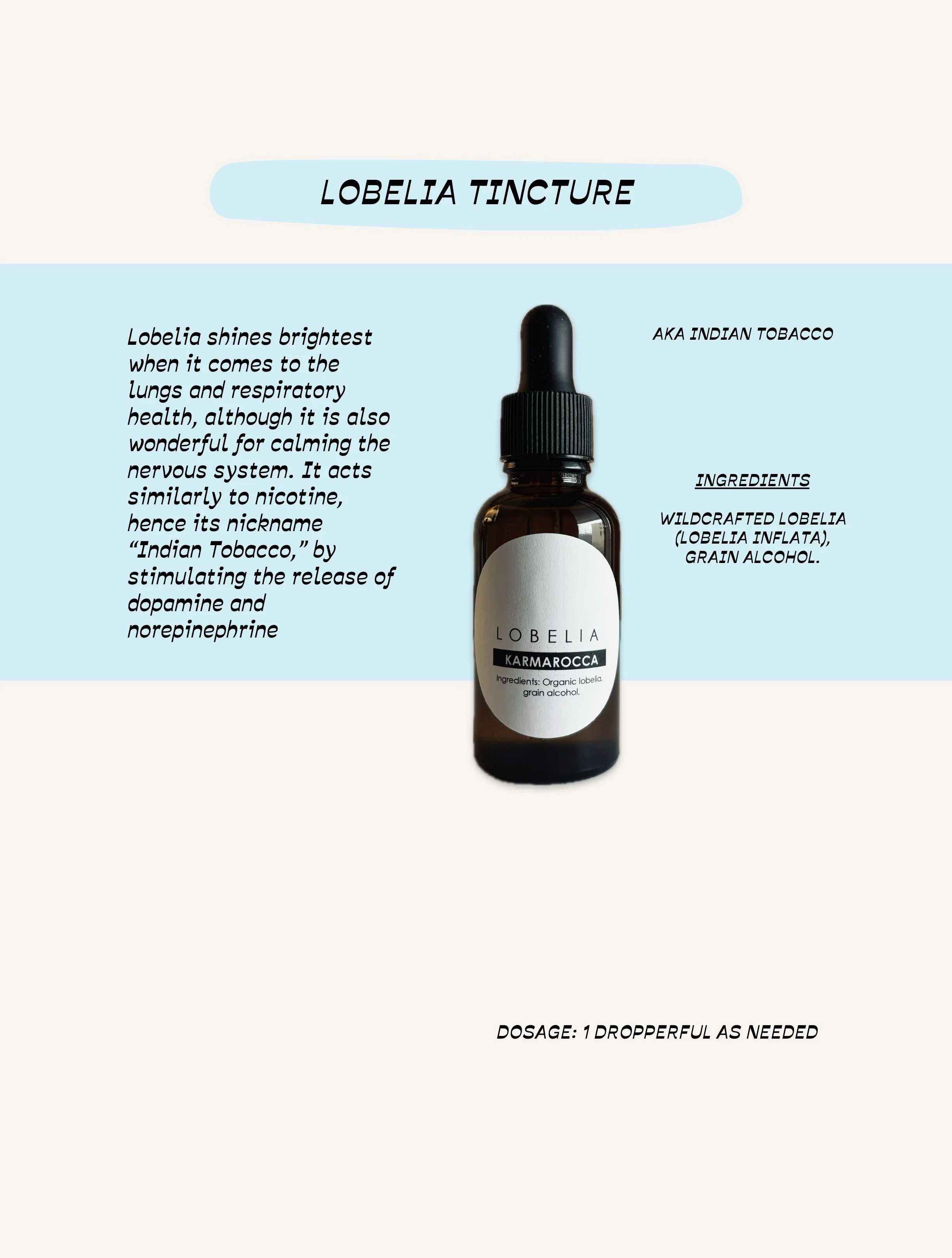 LOBELIA TINCTURE (2).jpg