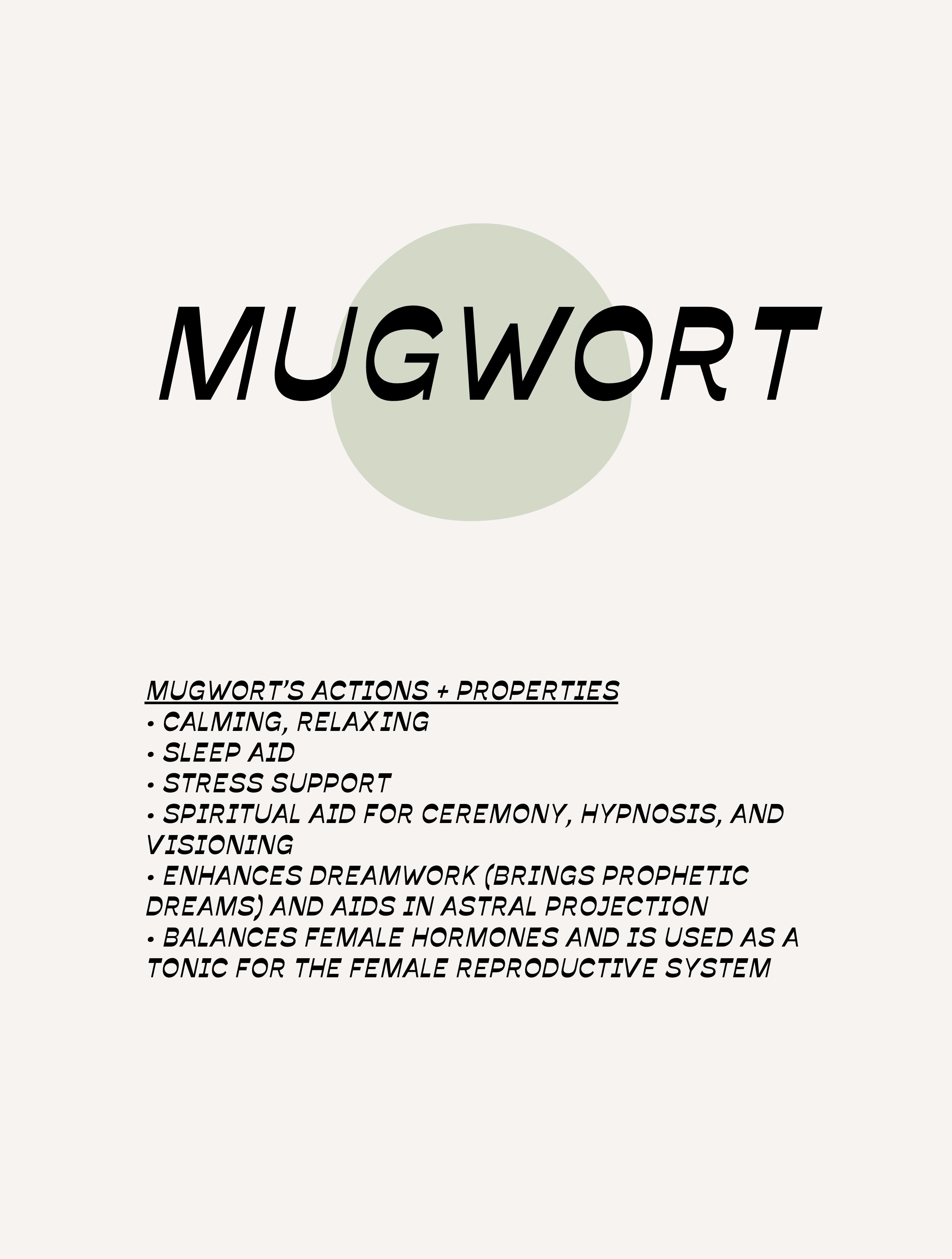 MUGWORT TINCTURE (3).jpg