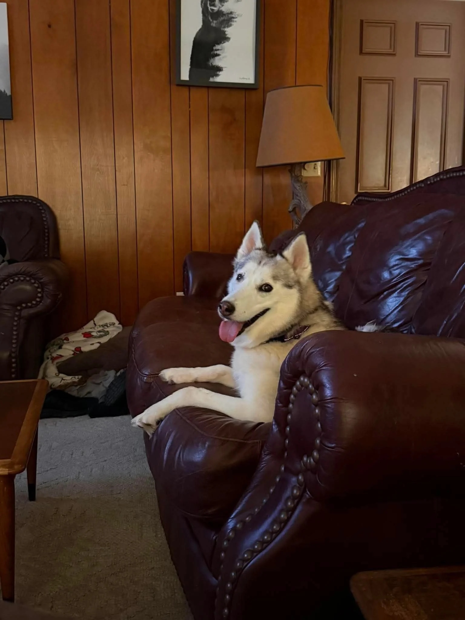d79fd3c11218756d98e2a766e4b279ad.jpeg