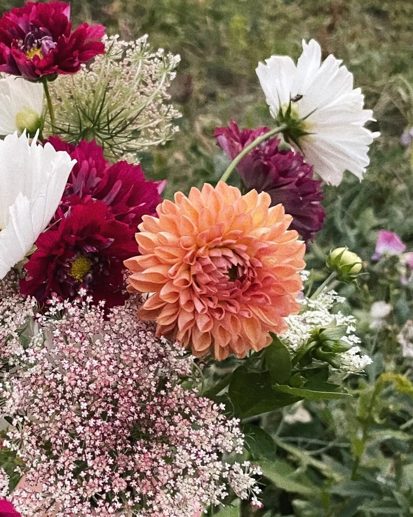 Bouquet02.jpg