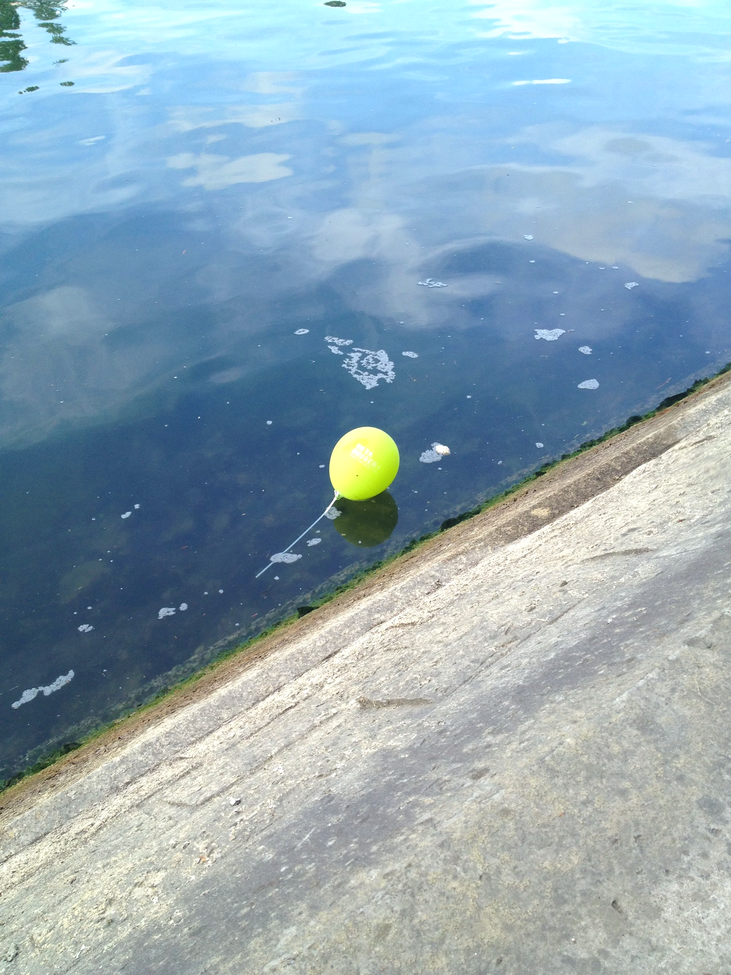 A green buoy floating in the water near a concrete shoreline.
