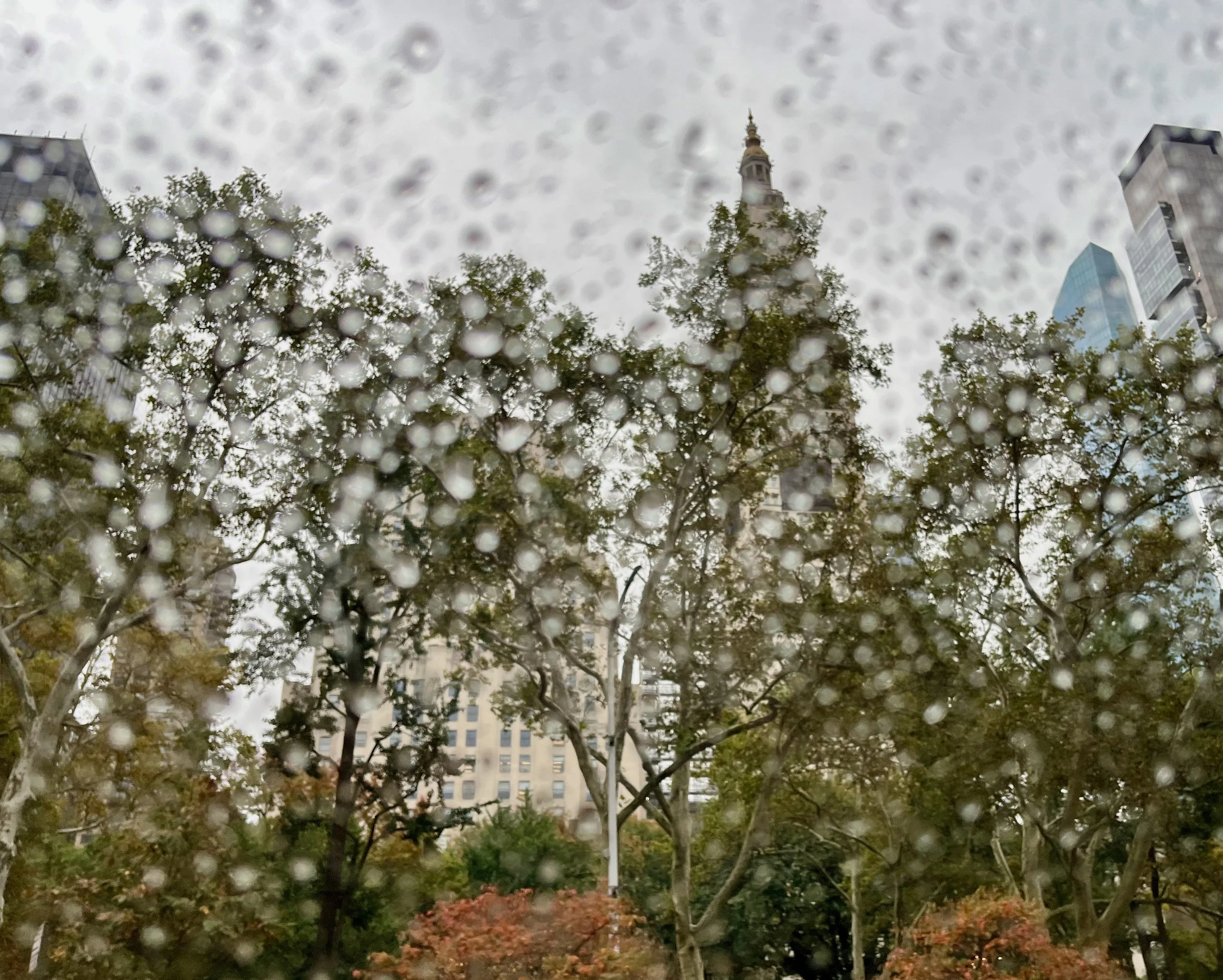 Manhattan cityscape view through a rain-speckled window with trees in the foreground and tall buildings, including a spire, in the background.