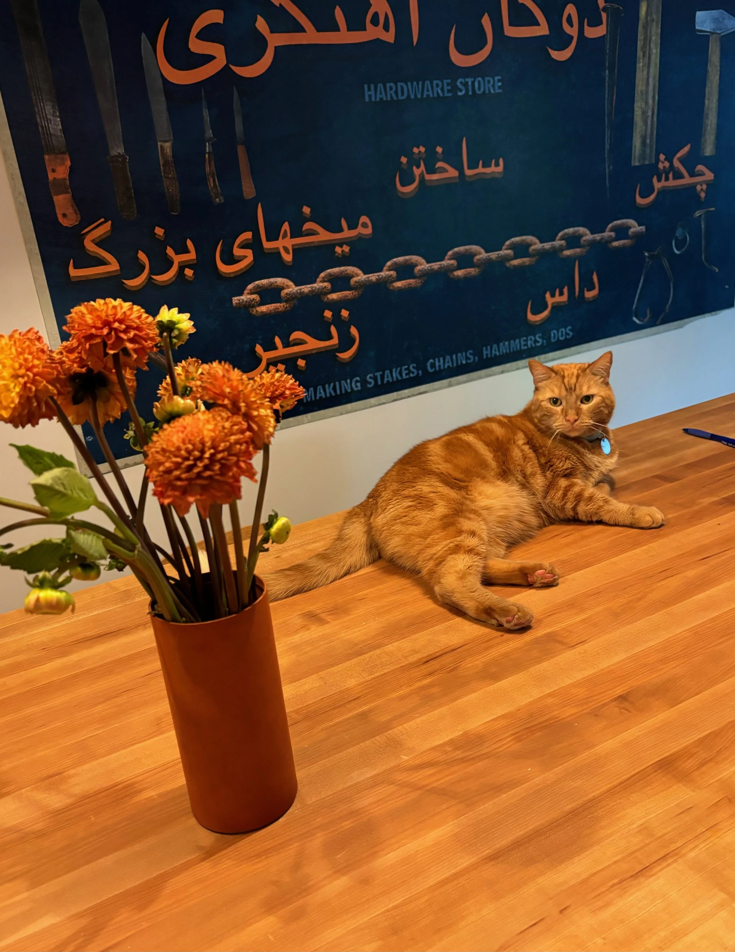 An orange tabby cat lying on a wooden table next to a brown vase with orange flowers, in front of a blue and orange sign with Arabic and English text about hardware store tools.