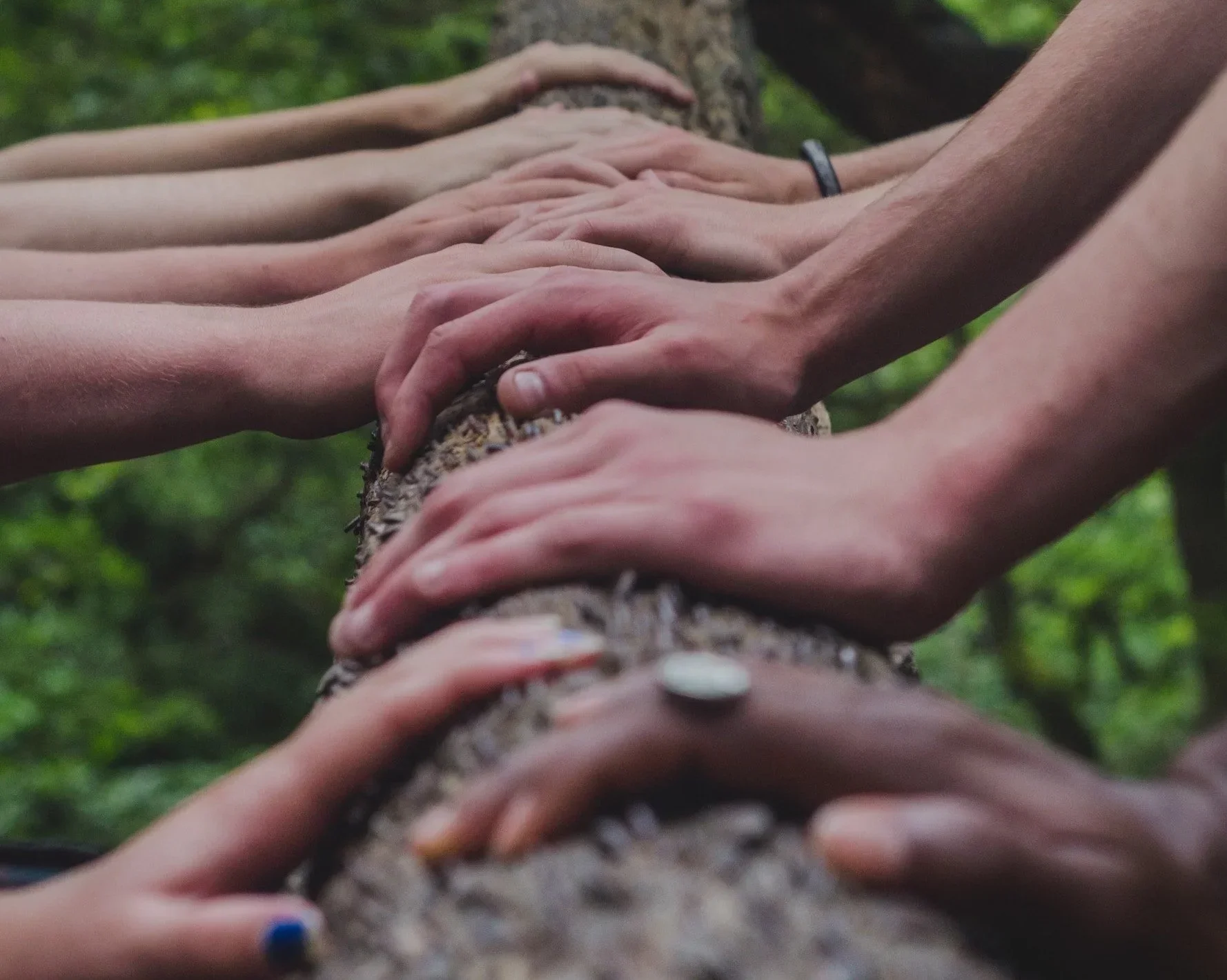 Want a Stronger Nonprofit? Start on the Inside