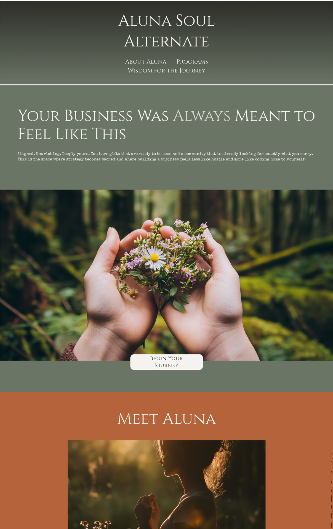 Aluna%2BSoul%2BHomepage%2BAlternate%2BColors.png