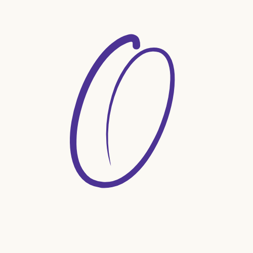  Orient  The fog lifts. Strategy becomes a living blueprint. Confusion becomes clarity. You know exactly who you are, who you serve, and what your digital home needs to say. The path forward is clear.