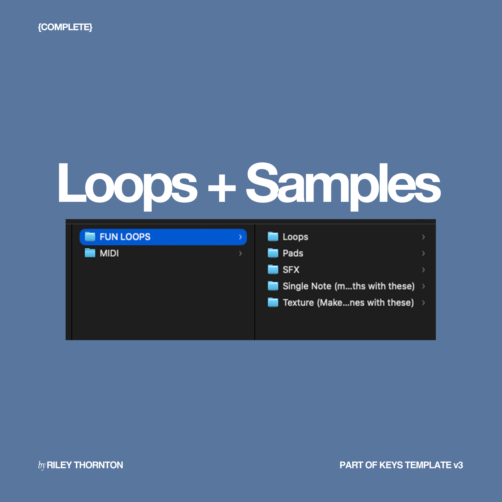 LOOPS + SAMPLES.png