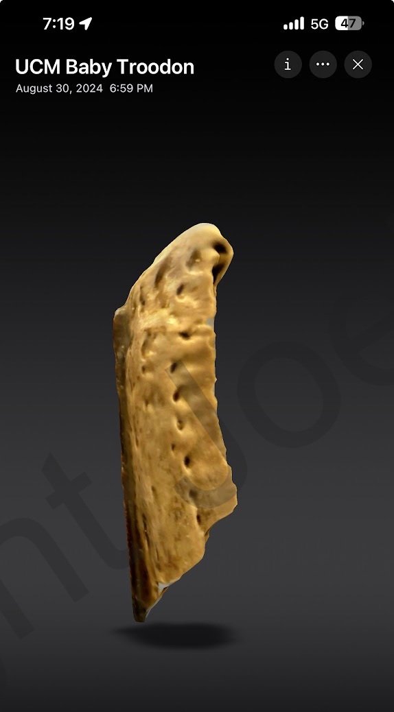 UCM_Troodontid_AboundScan.jpg