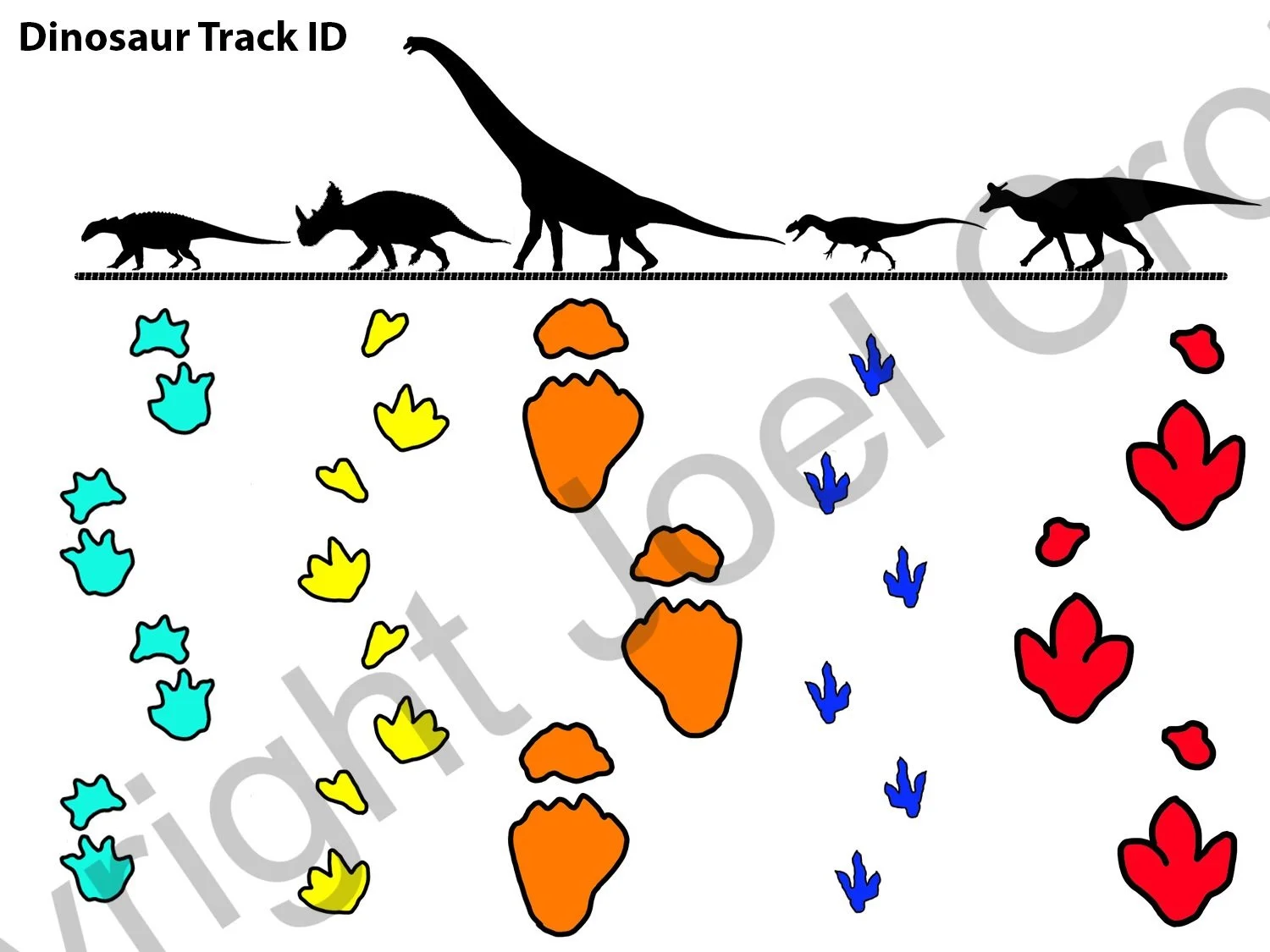 Week2_DinotrackID.jpg