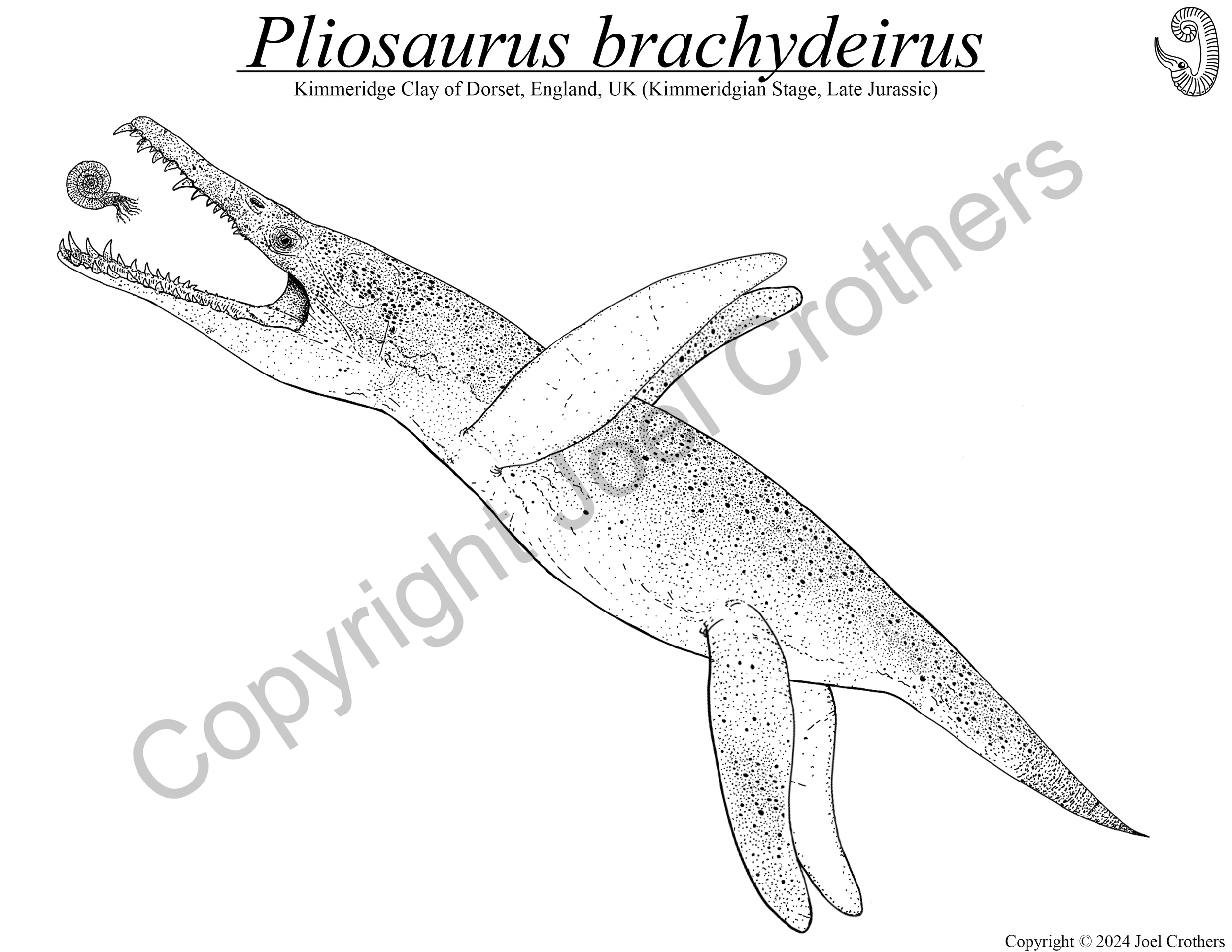 UCM_Pliosaurus_Digital.png