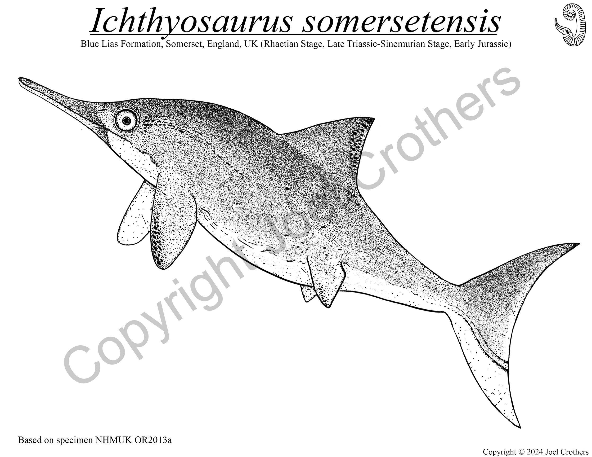UCM_Ichthyosaurus_Digital.png