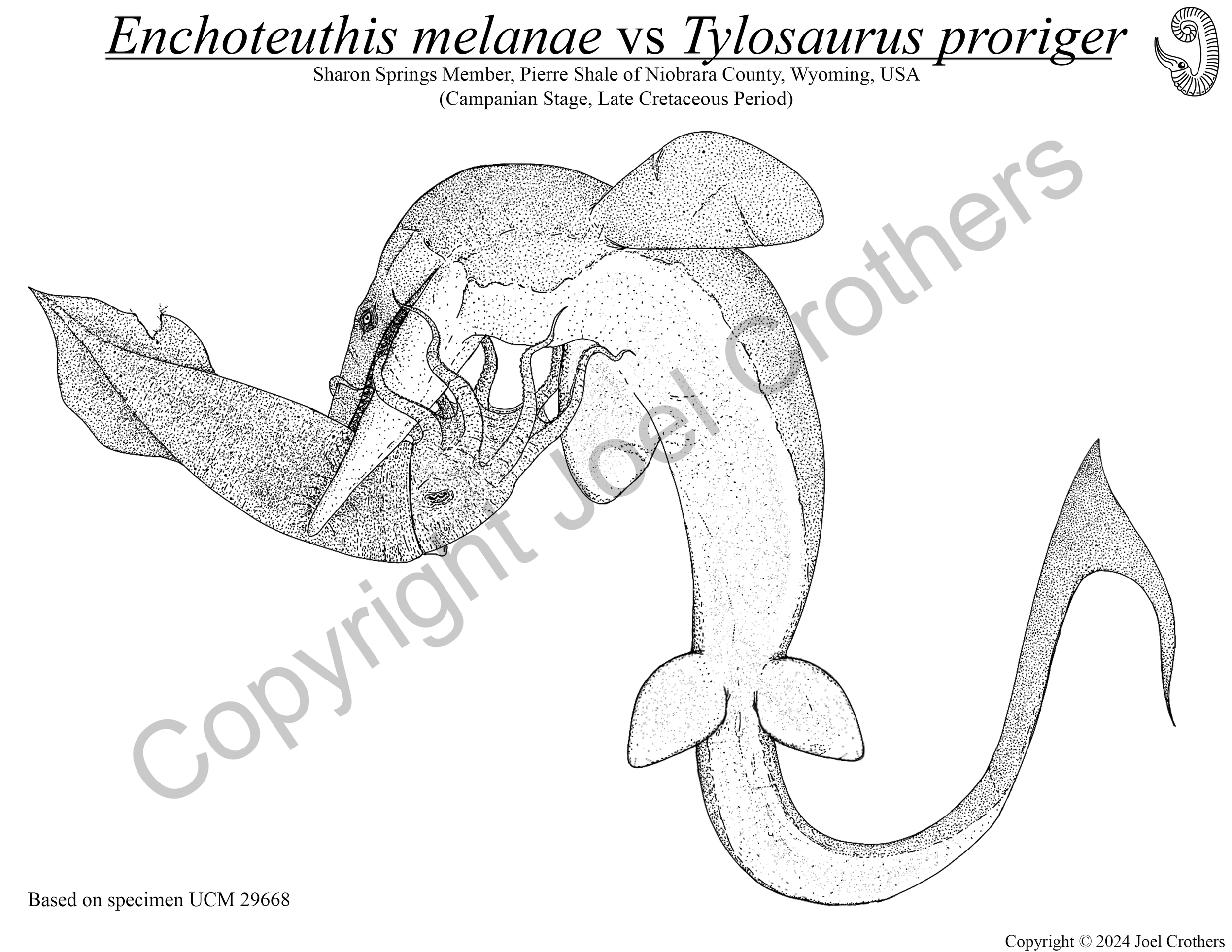 UCM_Tylosaurus_Digital.png