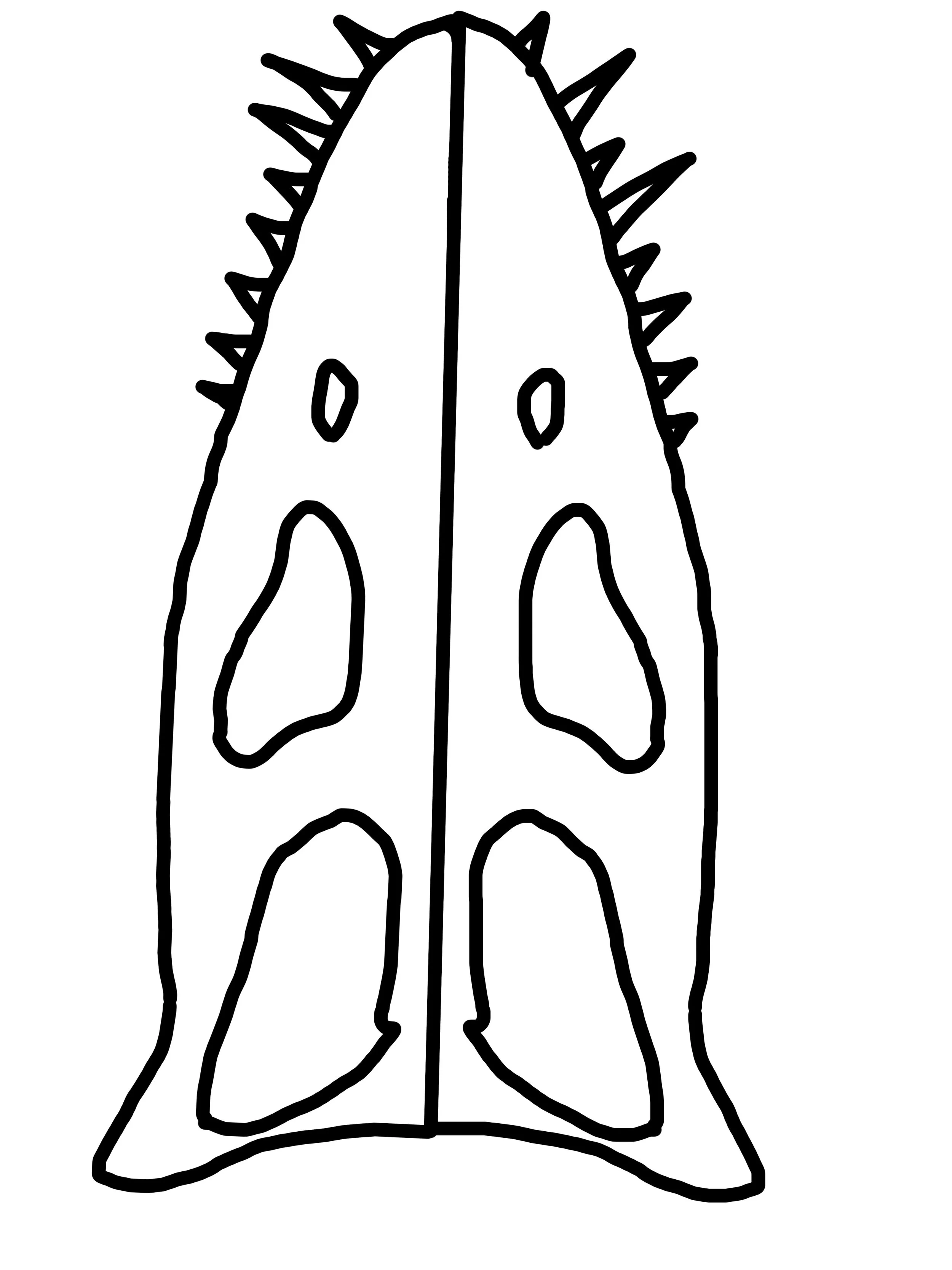 Week6_Plesiosaurskull.jpg