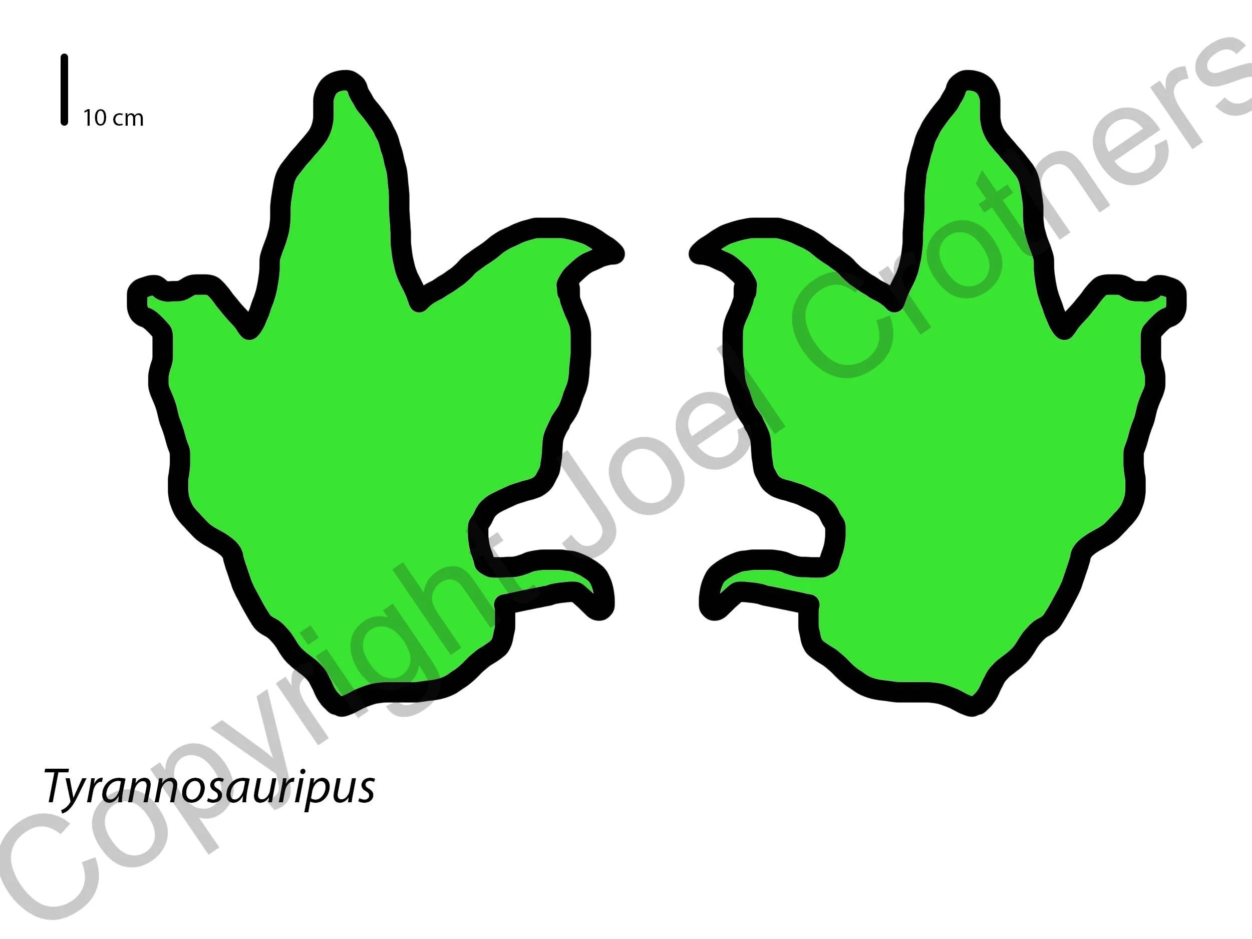 Week2_Tyrannosauripus Tracks .jpg