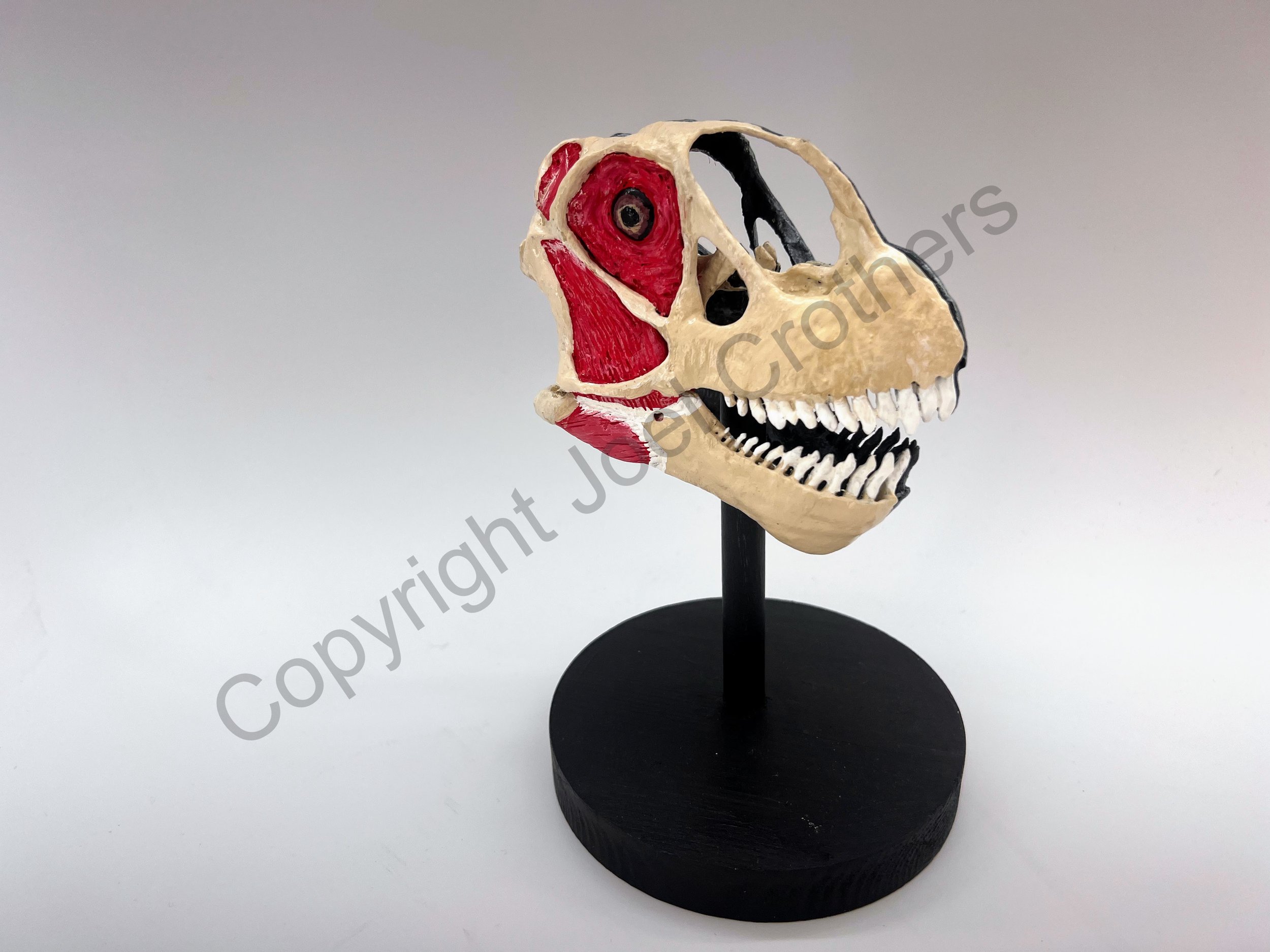 AMMP_Camarasaurus_Musculature_Sculpted3DPrint.jpg