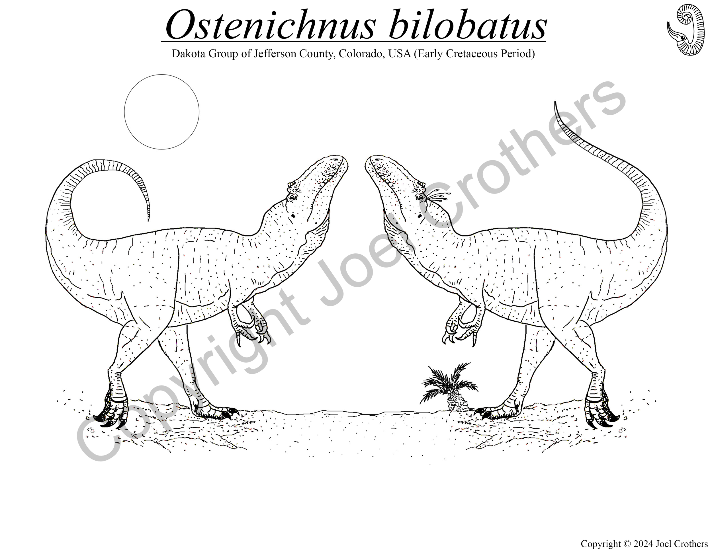 AmmoniteDreams_Ostenichnus_Pen&Ink.png