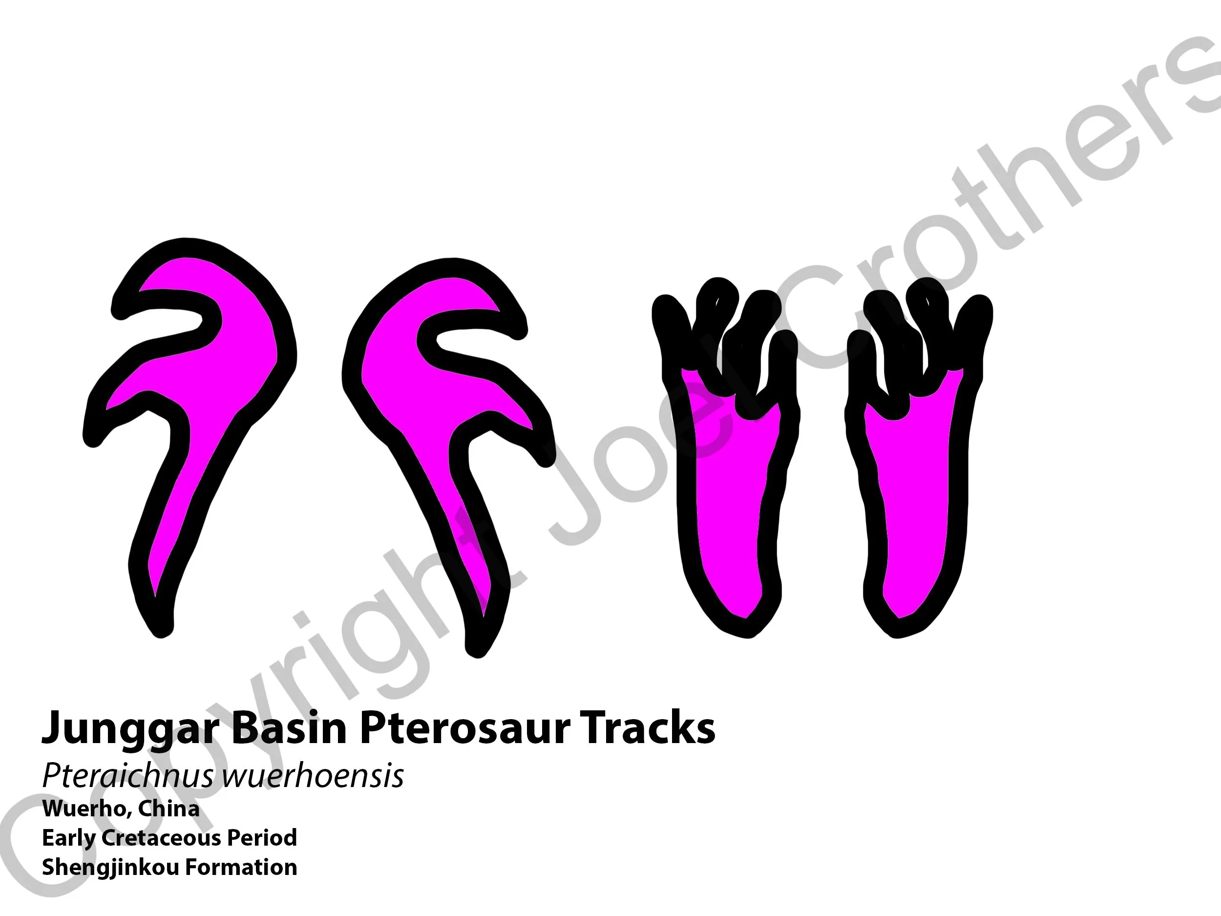 Week2_Pterosaur Tracks.jpg