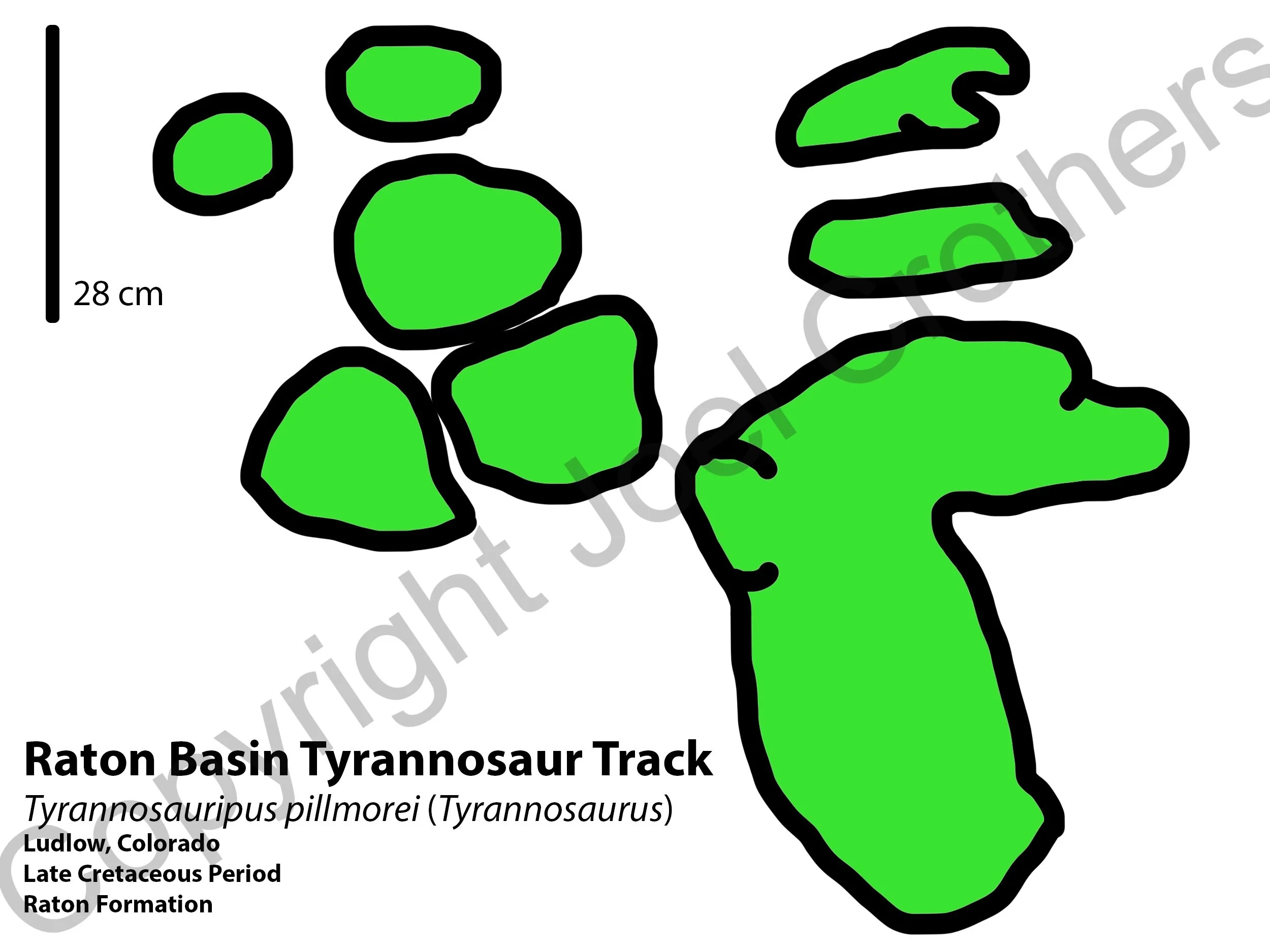 Week2_TyrannosaurProne.jpg