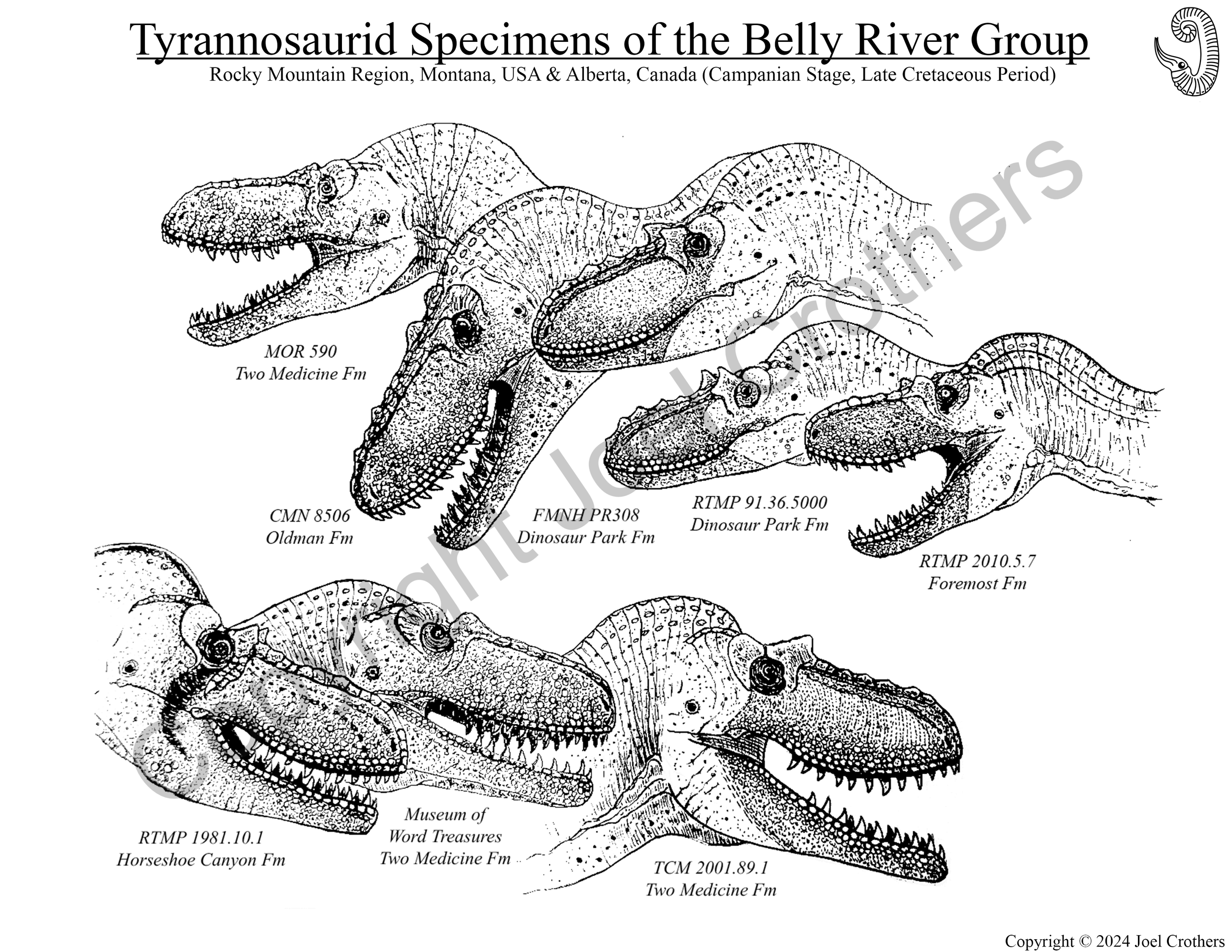 AmmoniteDreams_Tyrannosaurids_Pen&Ink.png