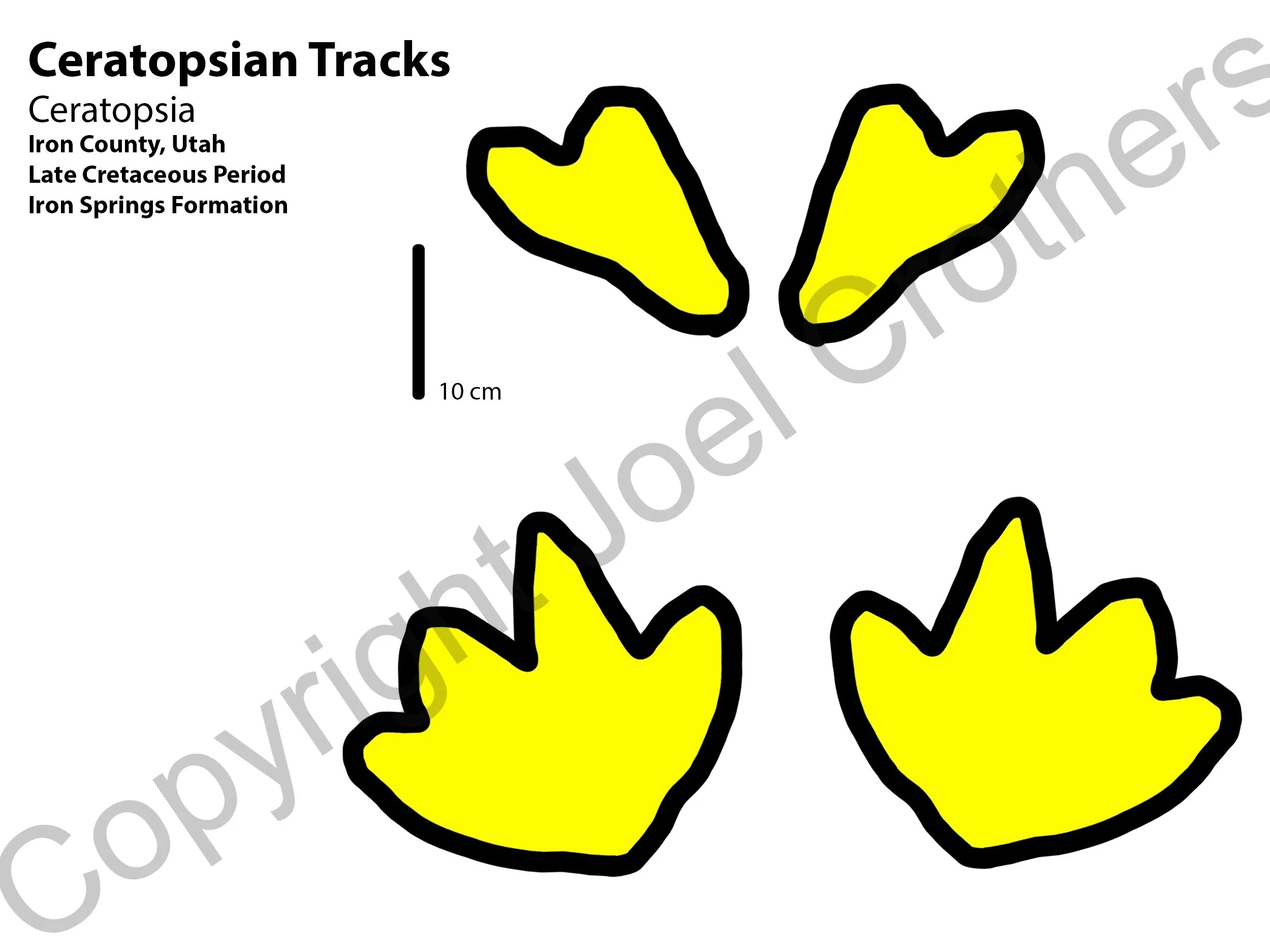 Week2_CeratopsianTracks.jpg