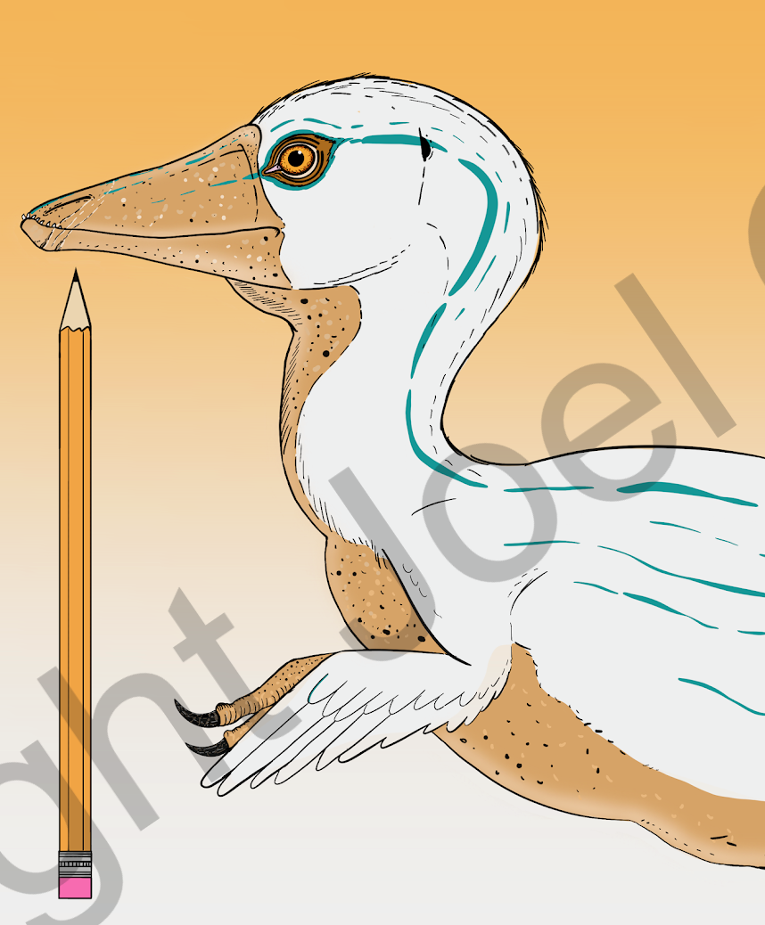 UCM_BabyPectinodon_Digital.png