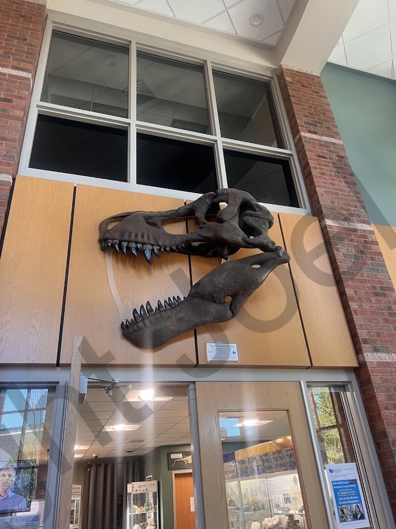 App_Tyrannosaurus_3DPrint.jpg