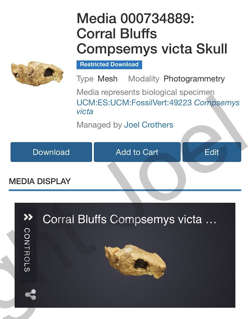 UCM_Compsemys_AboundScan.jpg