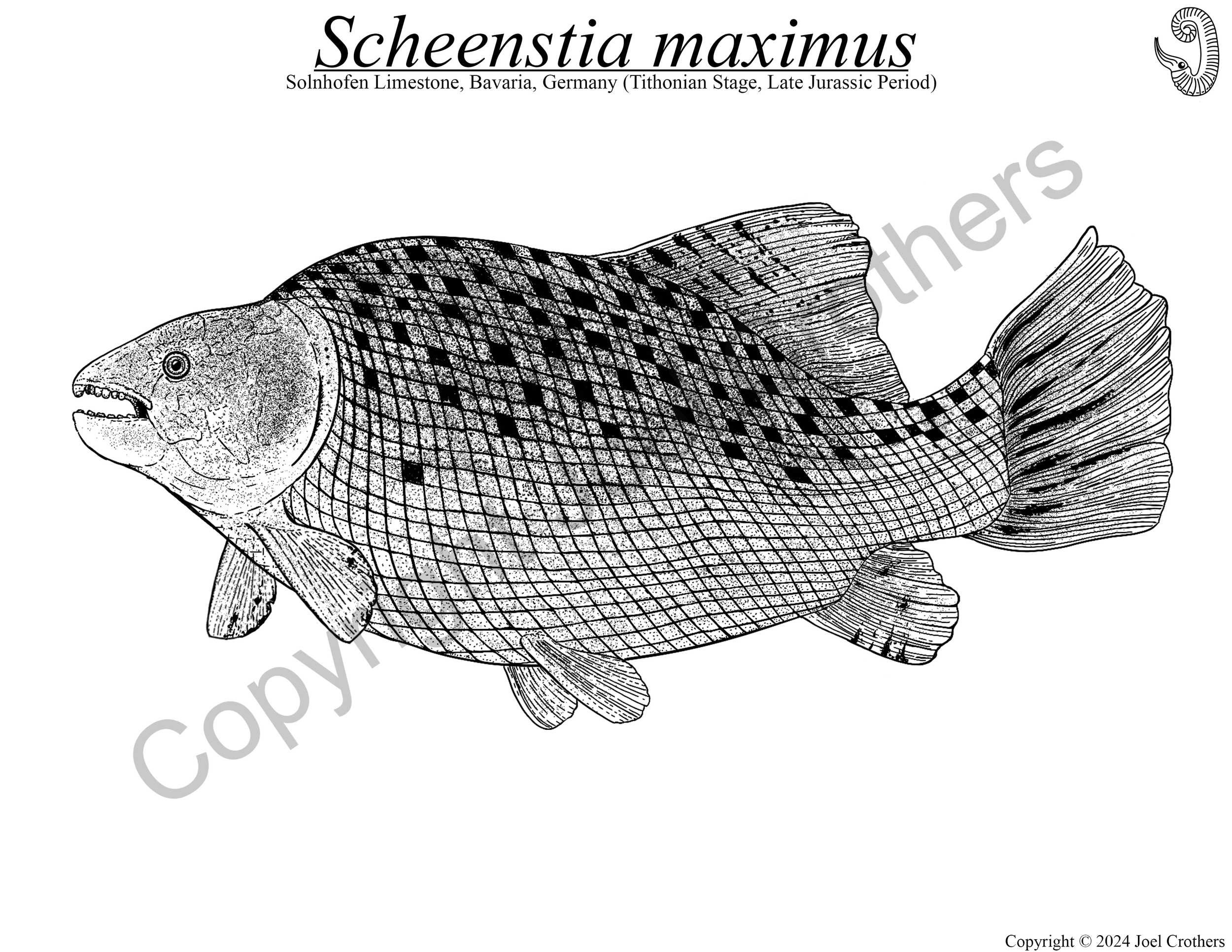 UCM_Schneestia_Digital.png