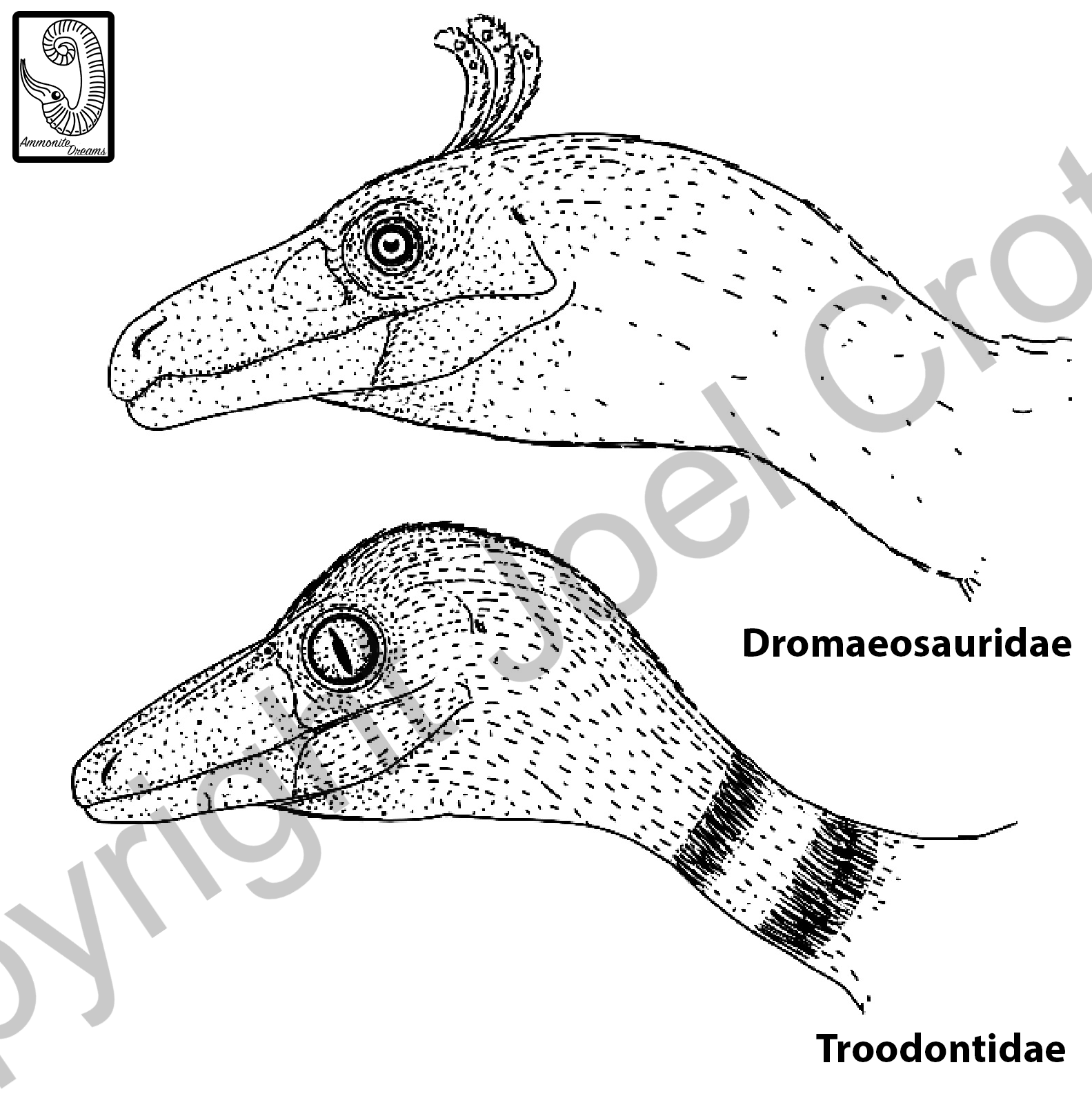 App_Maniraptorans_Digital.png