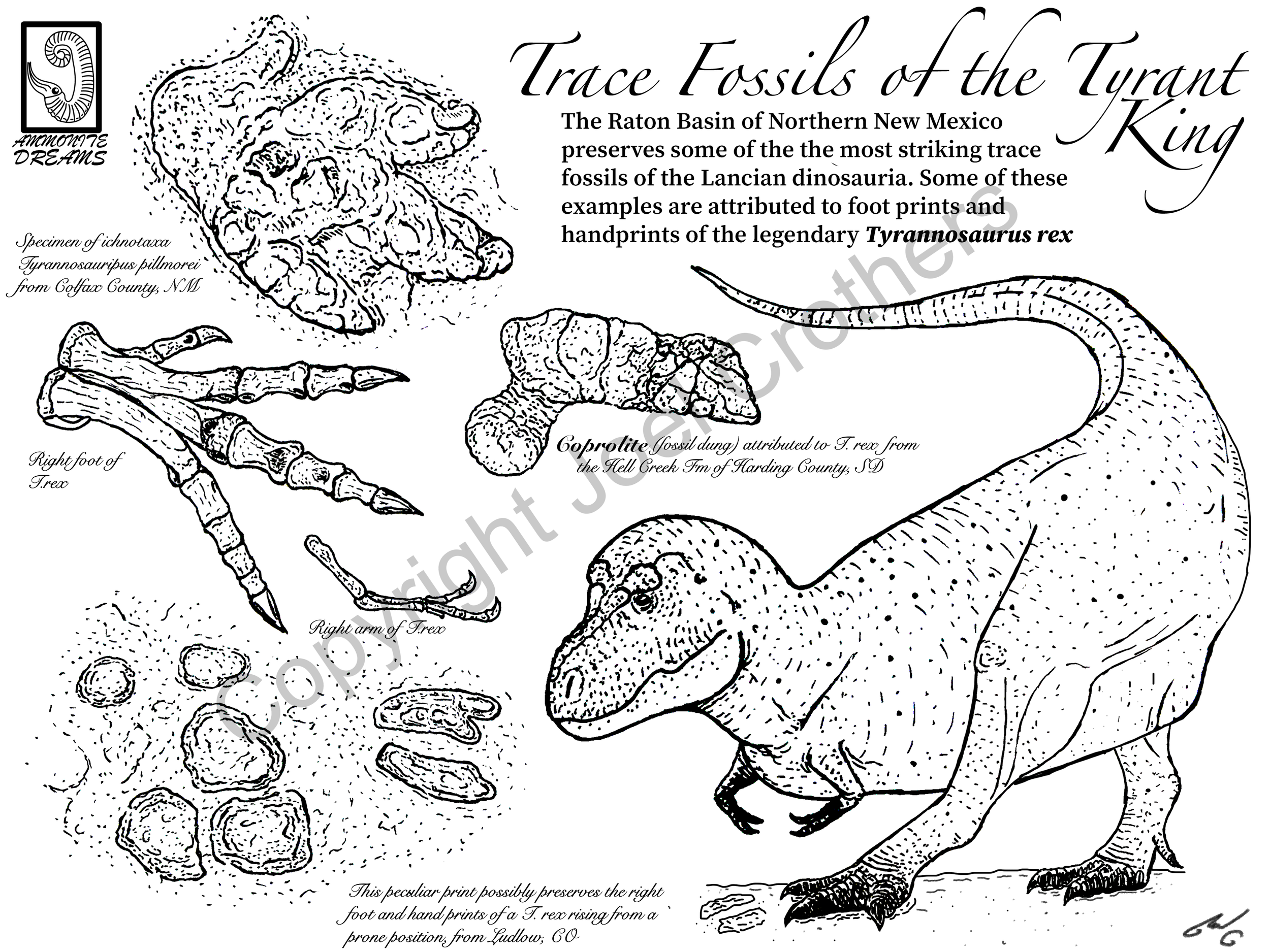 AmmoniteDreams_TyrannosaurusTraceFossils_Pen&Ink.png