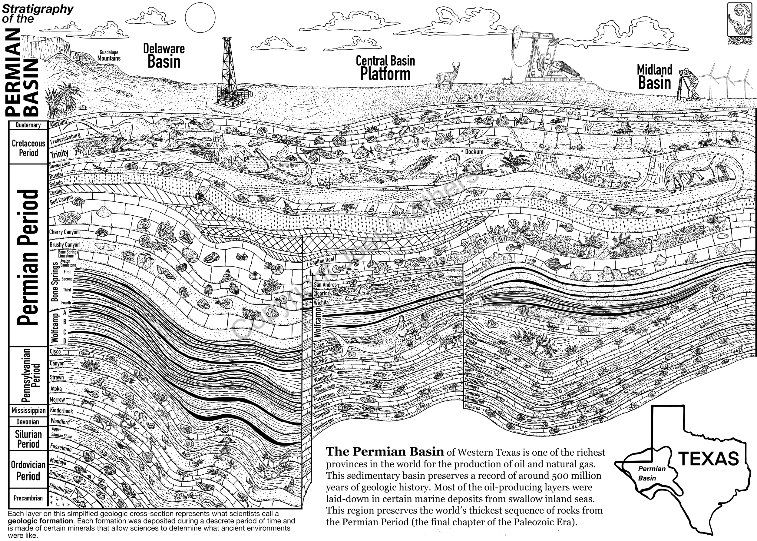 AmmoniteDreams_PermianBasinStrat_Pen&Ink.png
