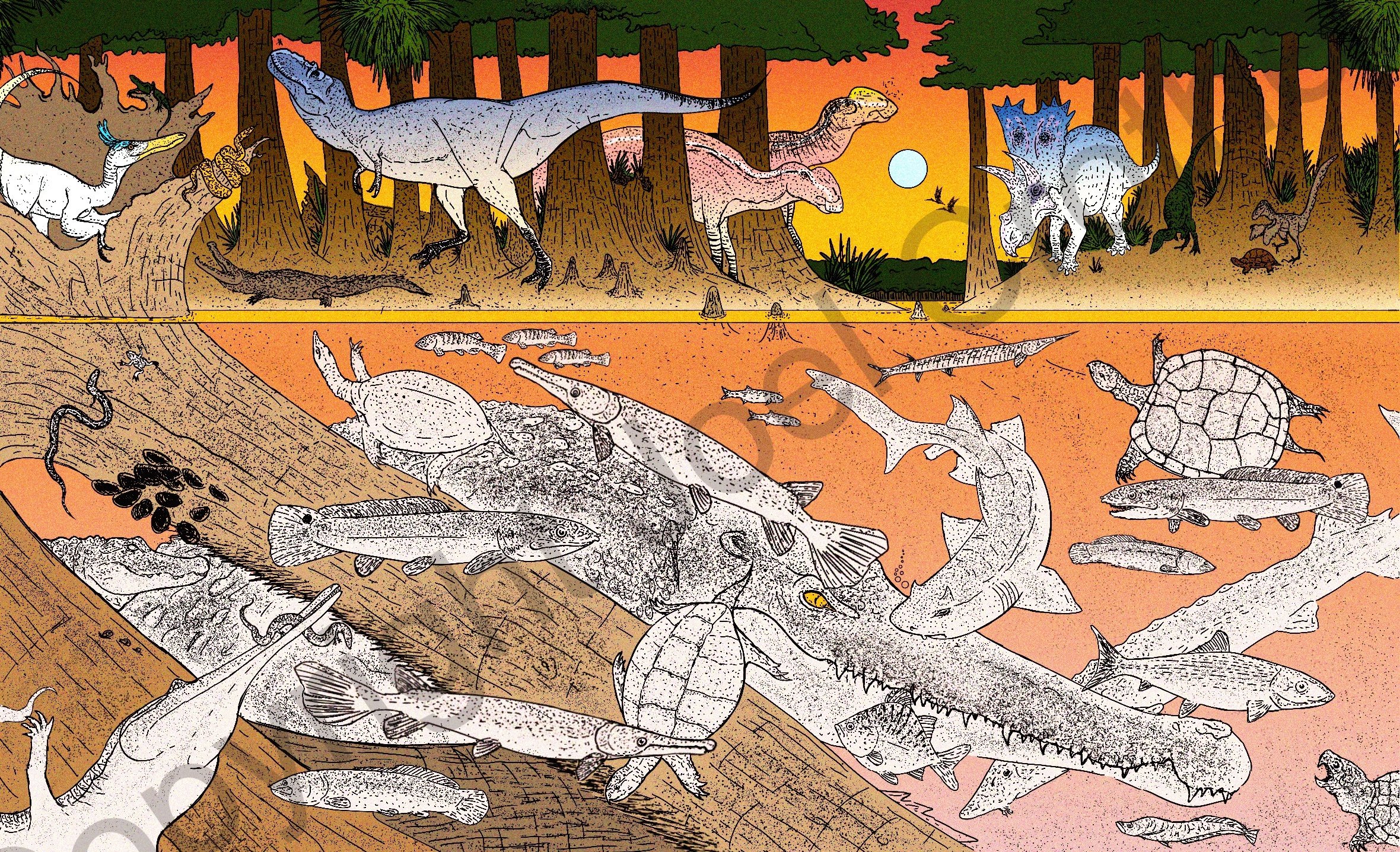 rhcOLORED4(cooked).jpg