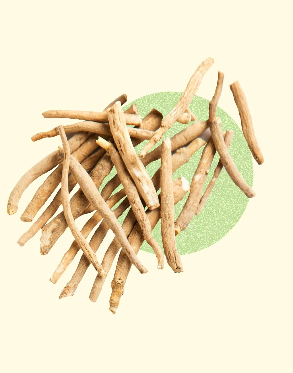 A pile of dried ginseng roots on a light-colored background with a green circle behind.