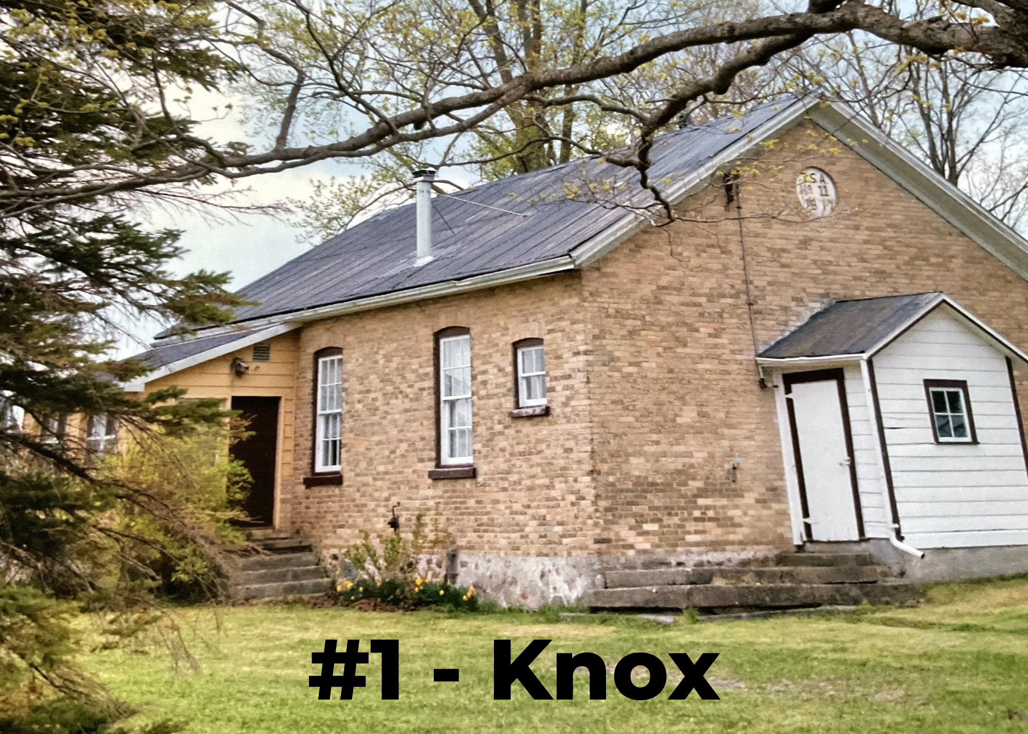 #1 - Knox (1).png