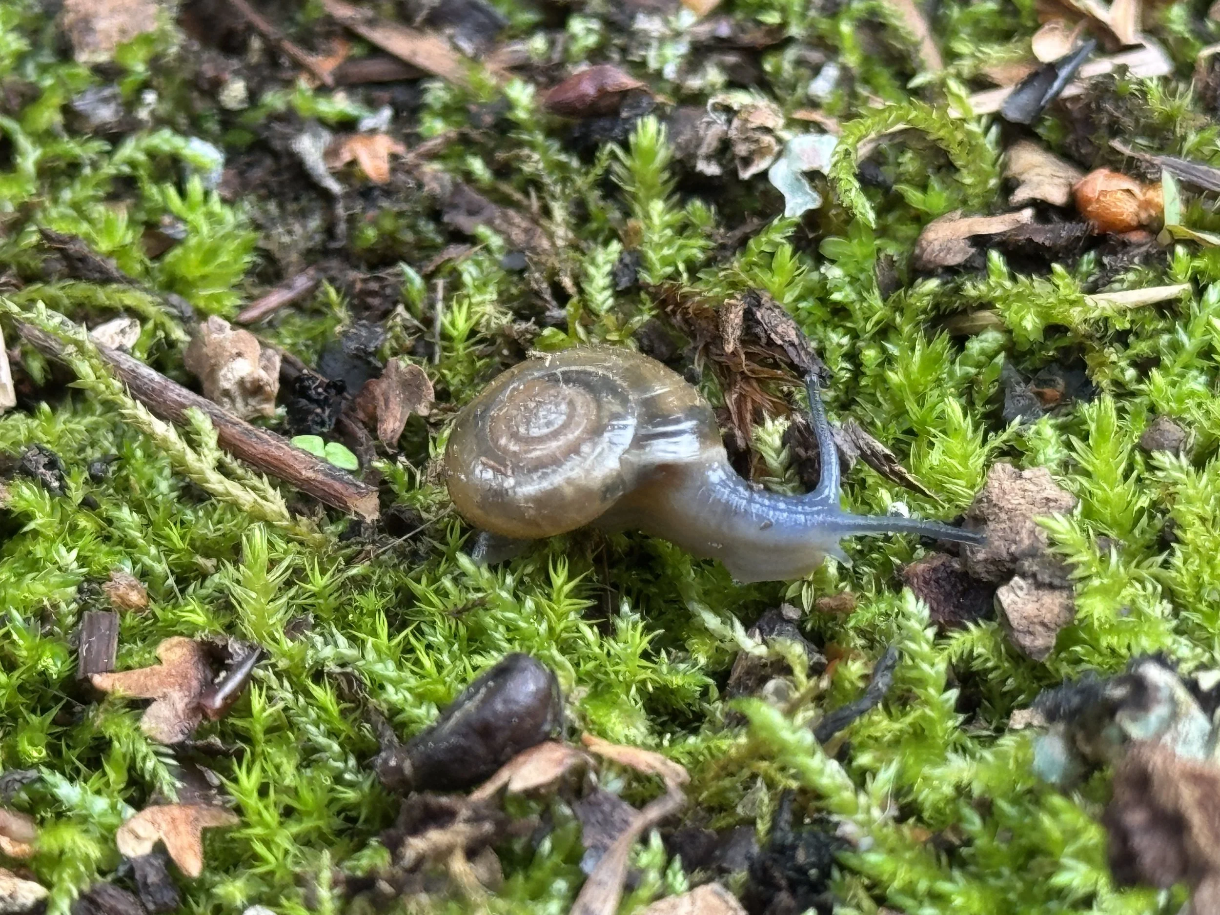 slowly building up this page…