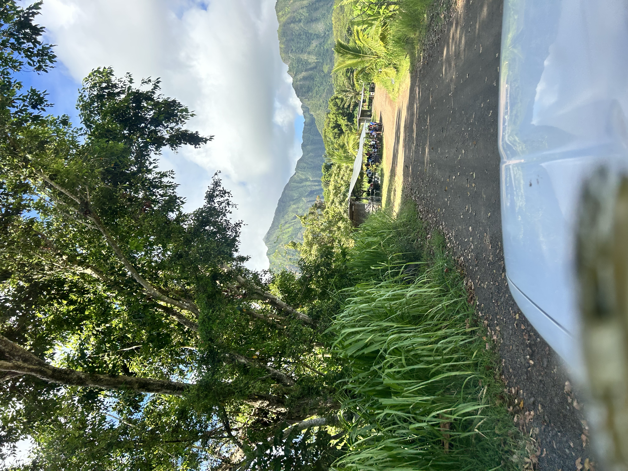 Meet at tent and park on right side of tent and meet on the benches.