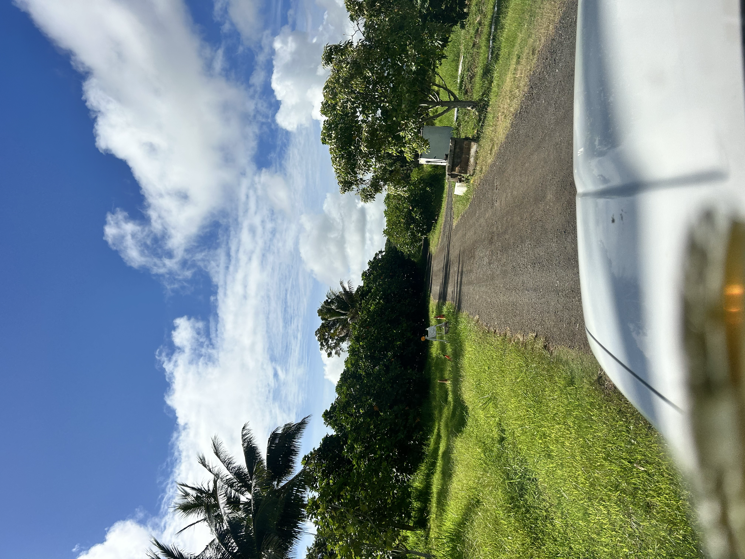 Continue through "ulu treesʻ