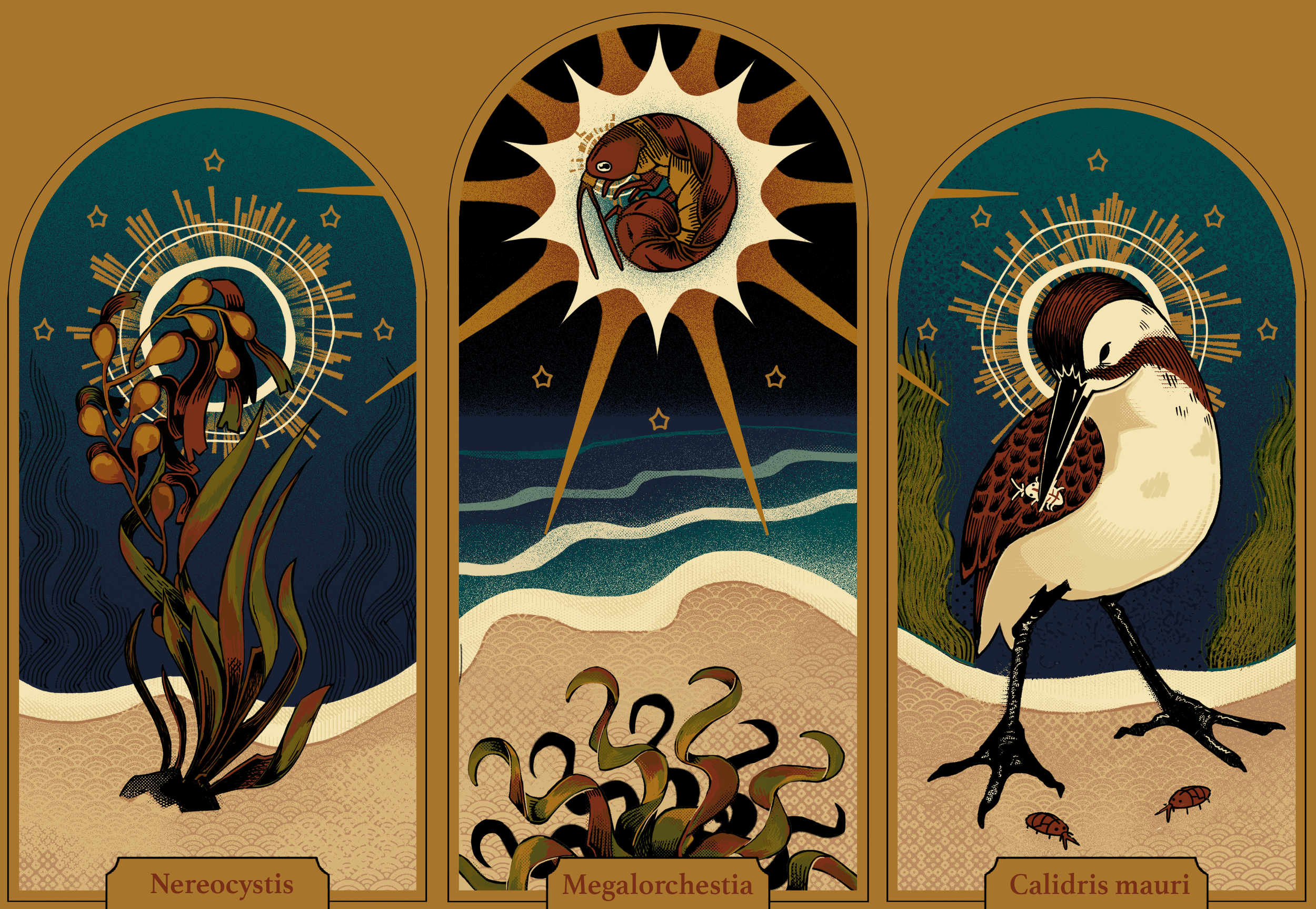ilustration triptych.png