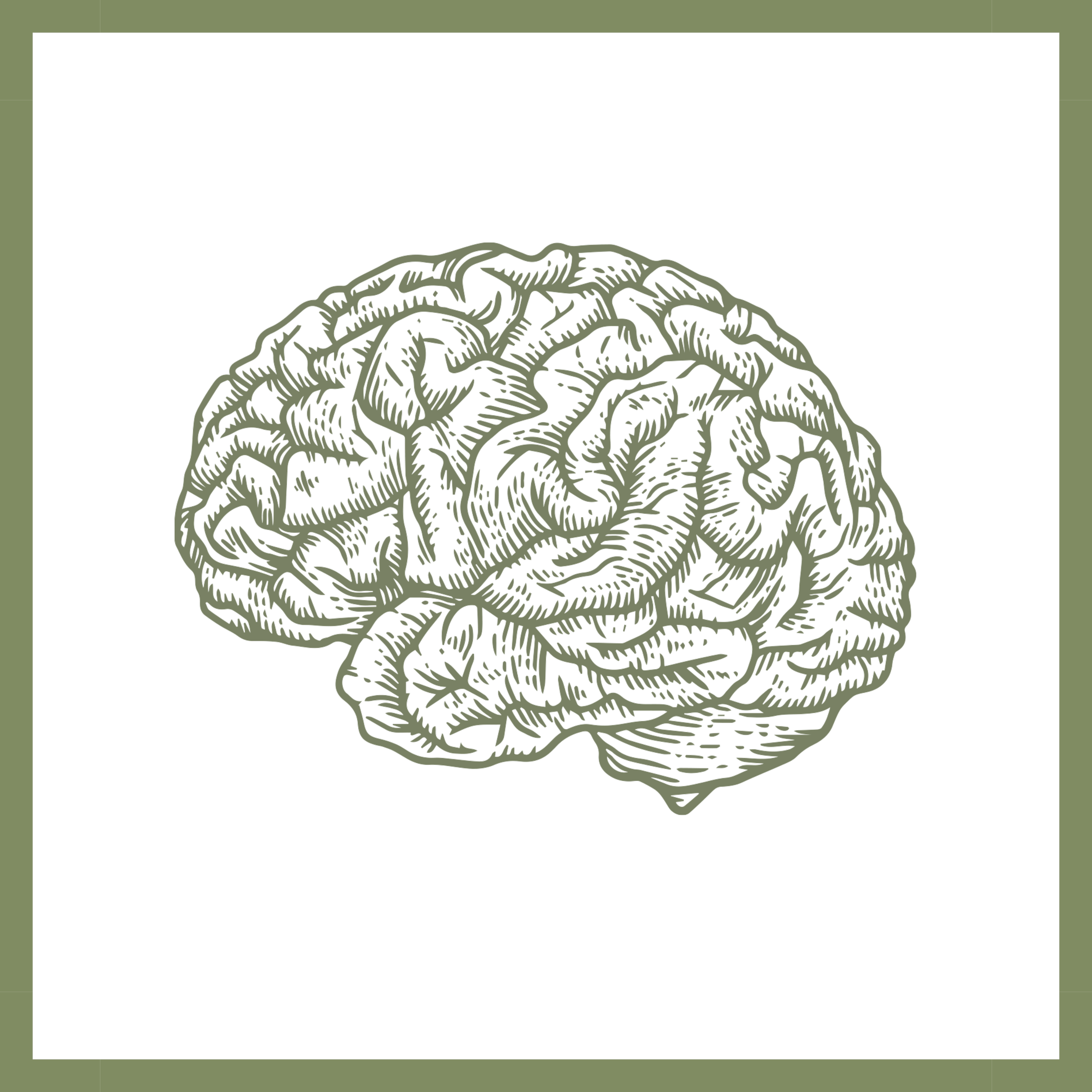 An illustrated outline of a human brain against a black background.