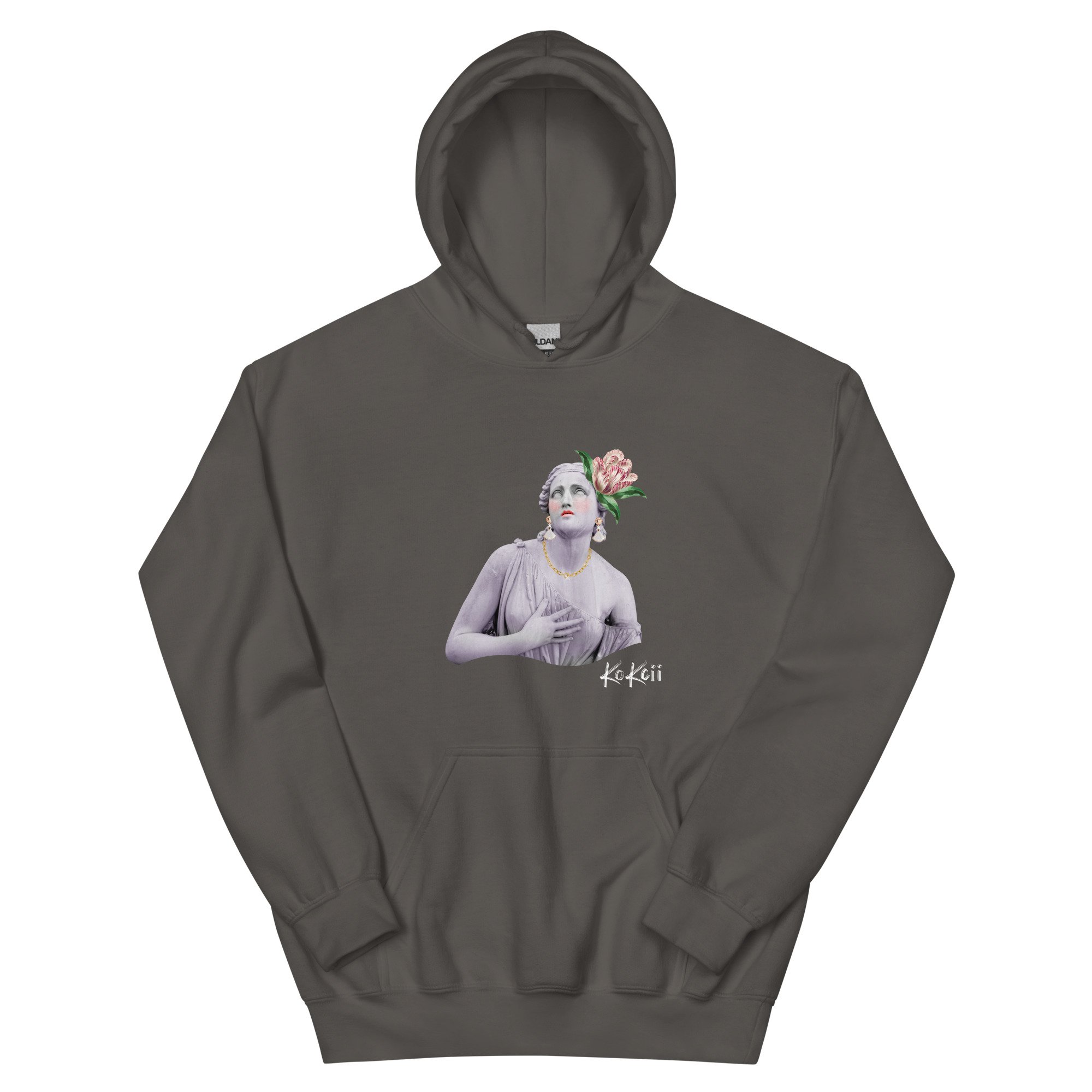 unisex-heavy-blend-hoodie-charcoal-front-68218d53d5cb0.jpg