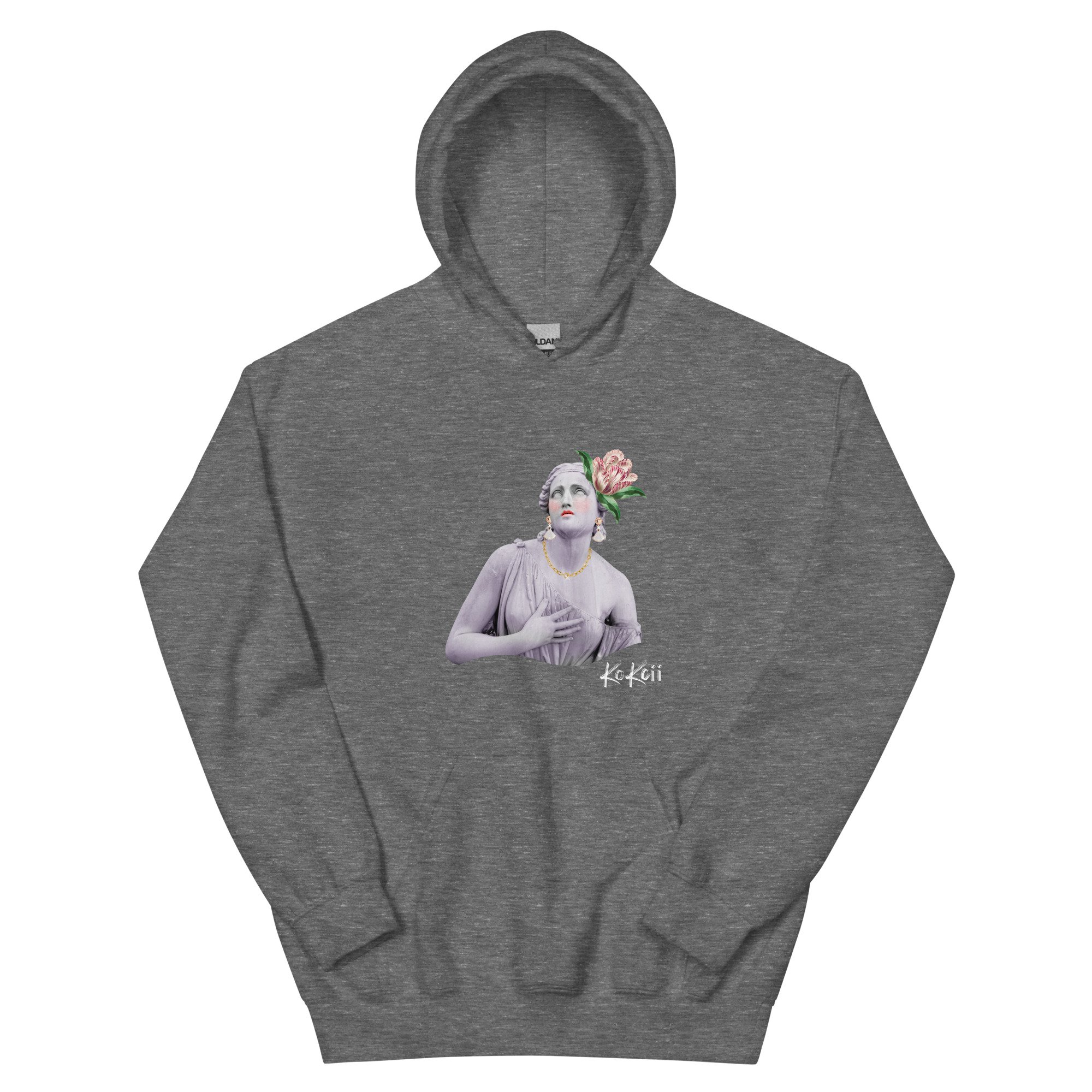 unisex-heavy-blend-hoodie-graphite-heather-front-68218d53ec995.jpg